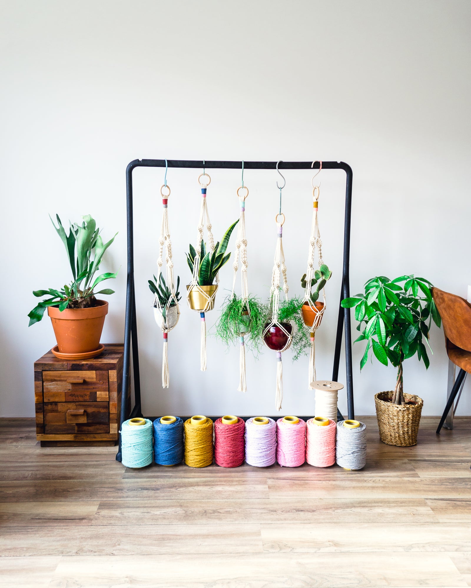 Pattern - Macrame Plant Hanger
