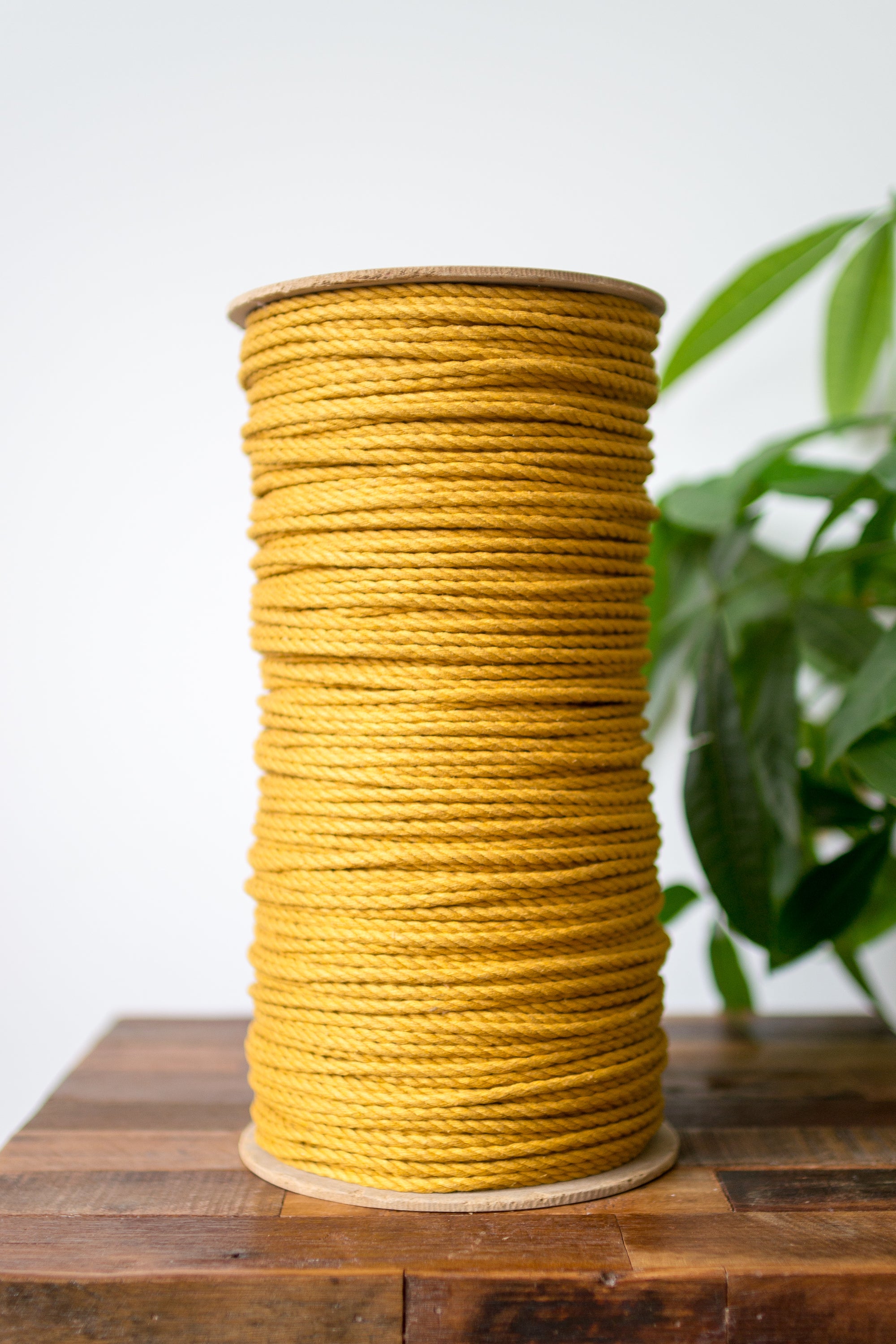 3 Strand Twisted Cotton Rope