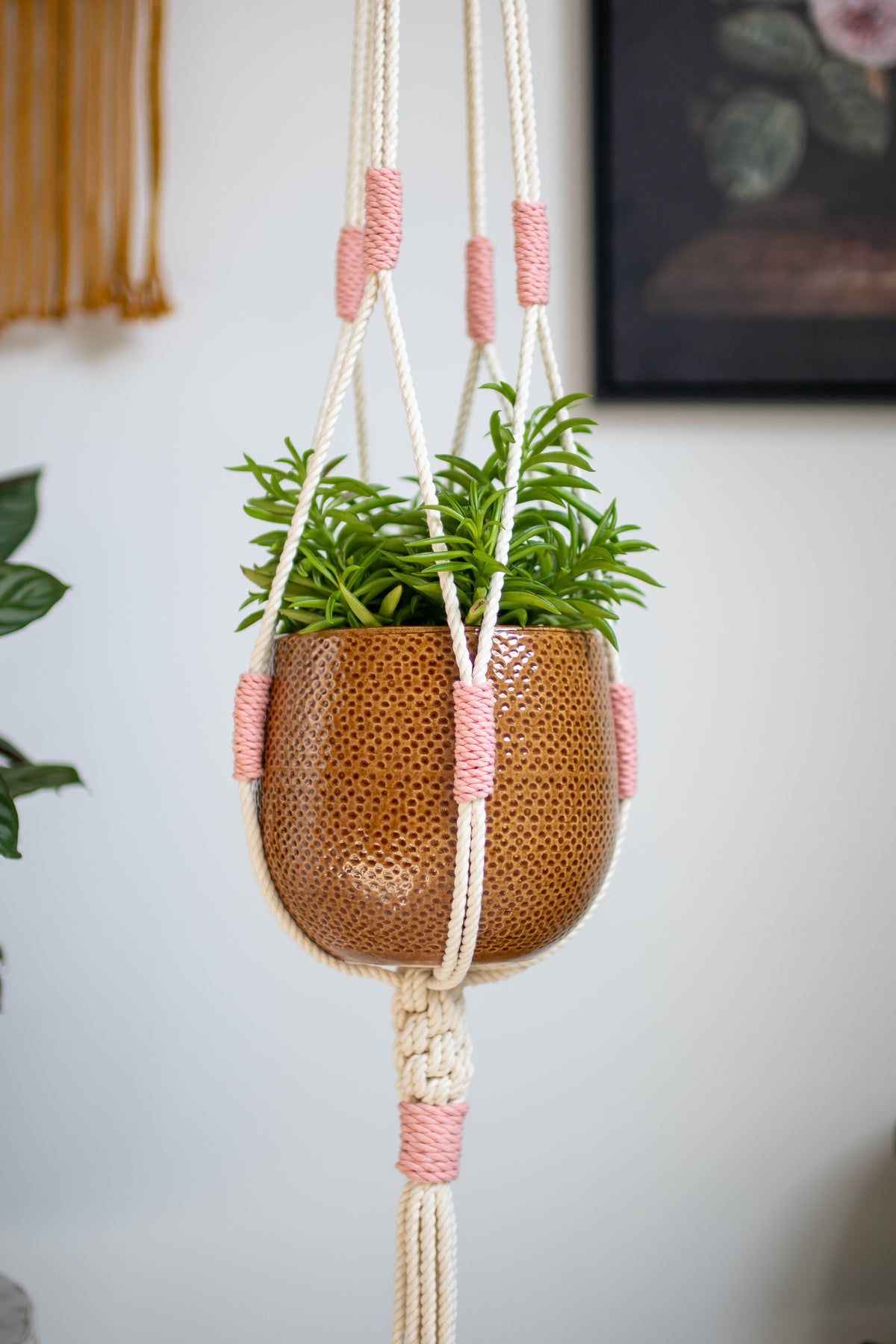 Crown Knot Macrame Plant Hanger - White with blue details - 40&quot; (100cm) in Length