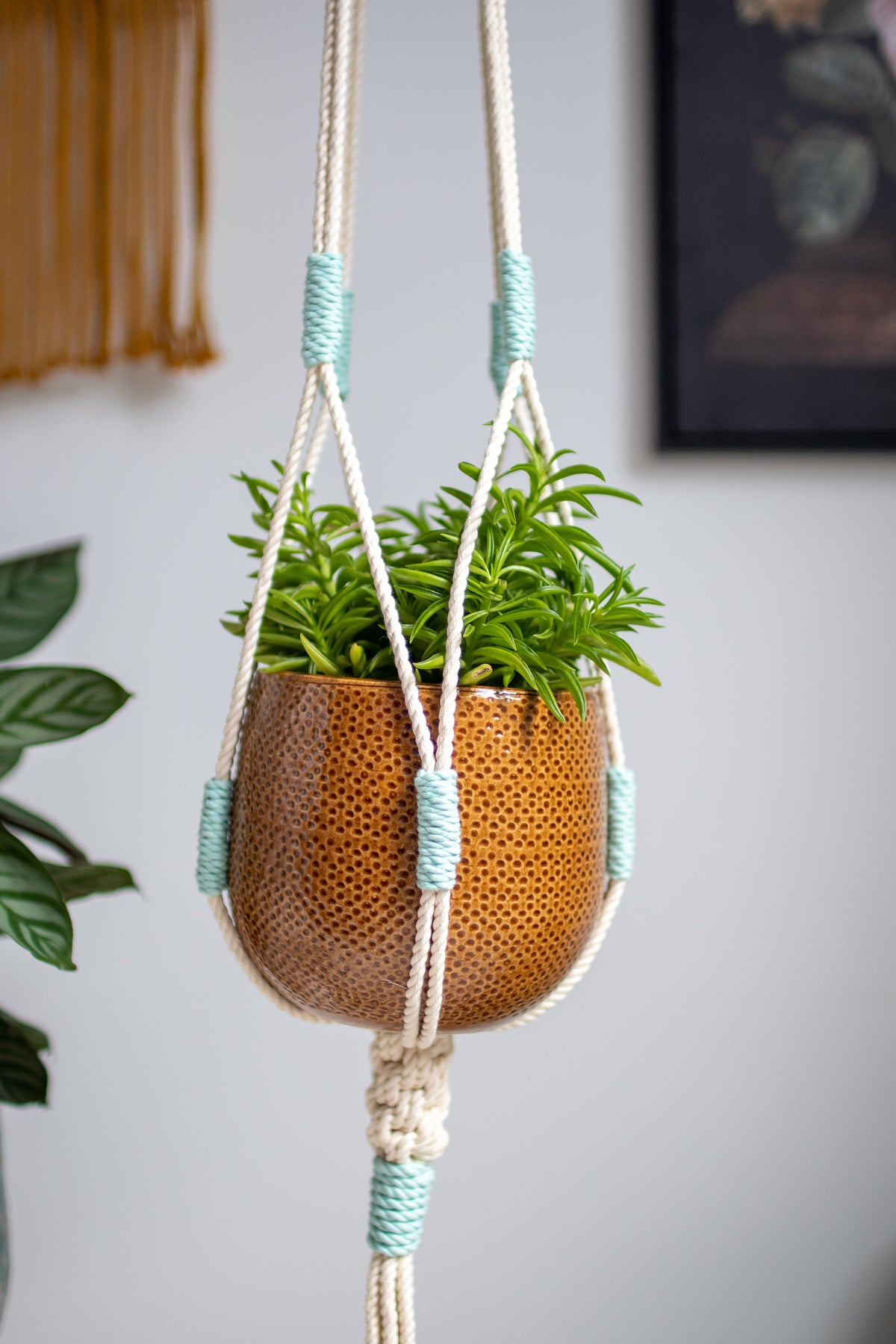 Crown Knot Macrame Plant Hanger - White with blue details - 40&quot; (100cm) in Length