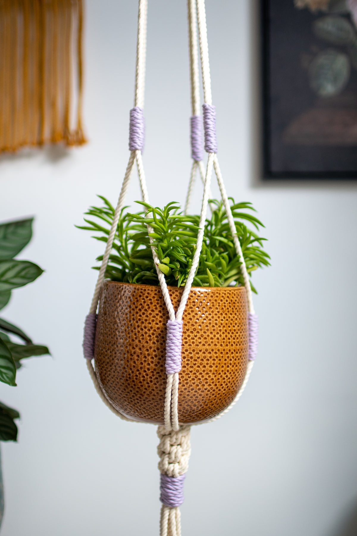 Crown Knot Macrame Plant Hanger - White with blue details - 40&quot; (100cm) in Length