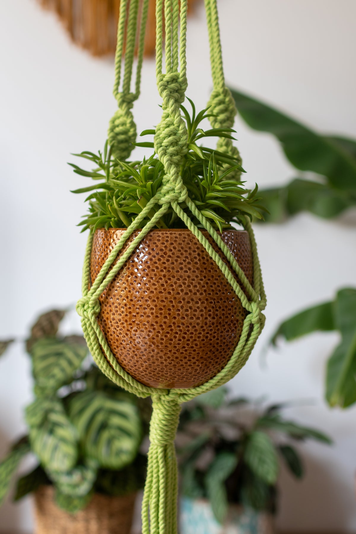 Knotted Macrame Plant Hanger - 40&quot; (100cm) in Length by