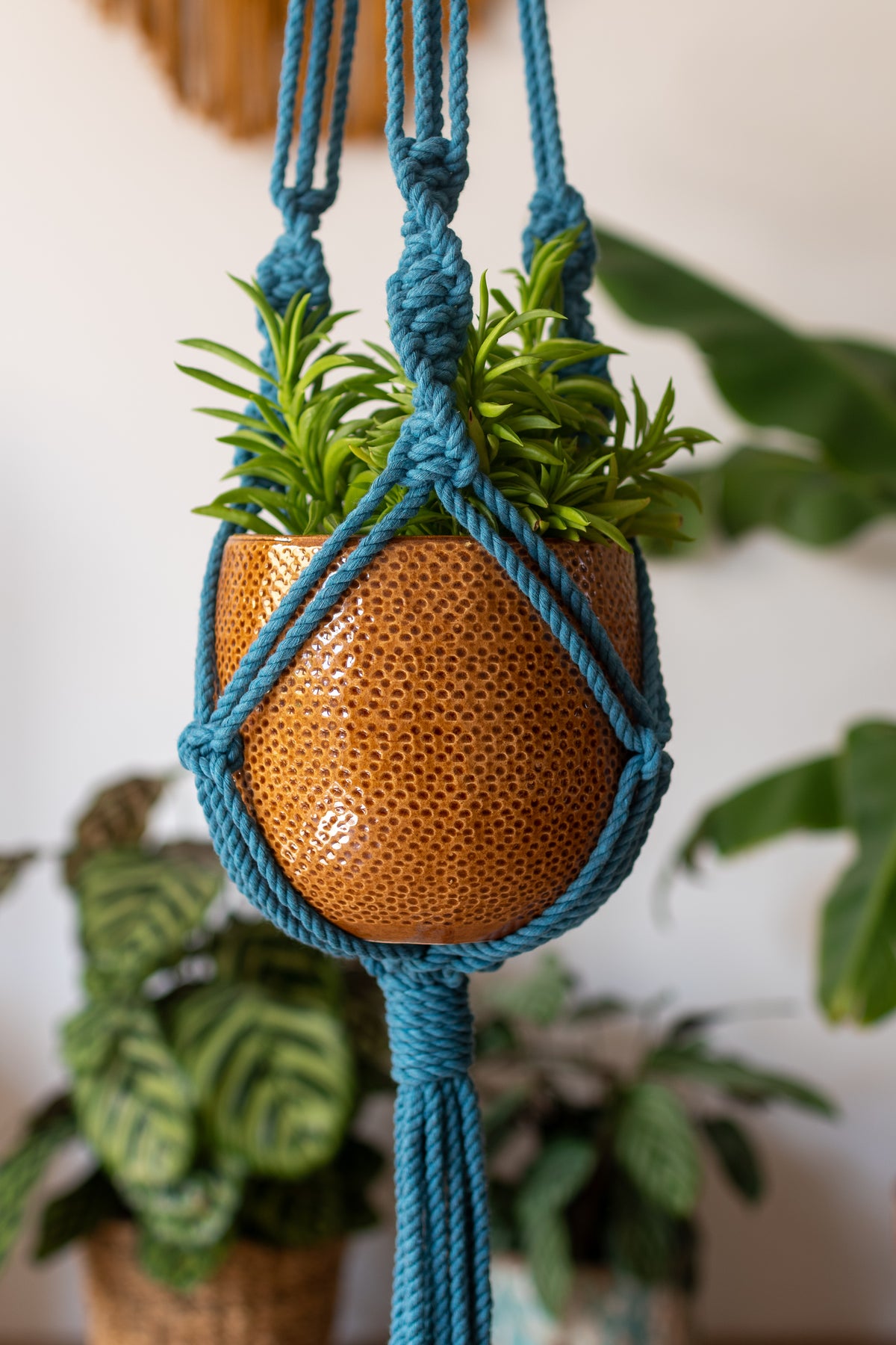 Knotted Macrame Plant Hanger - 40&quot; (100cm) in Length by