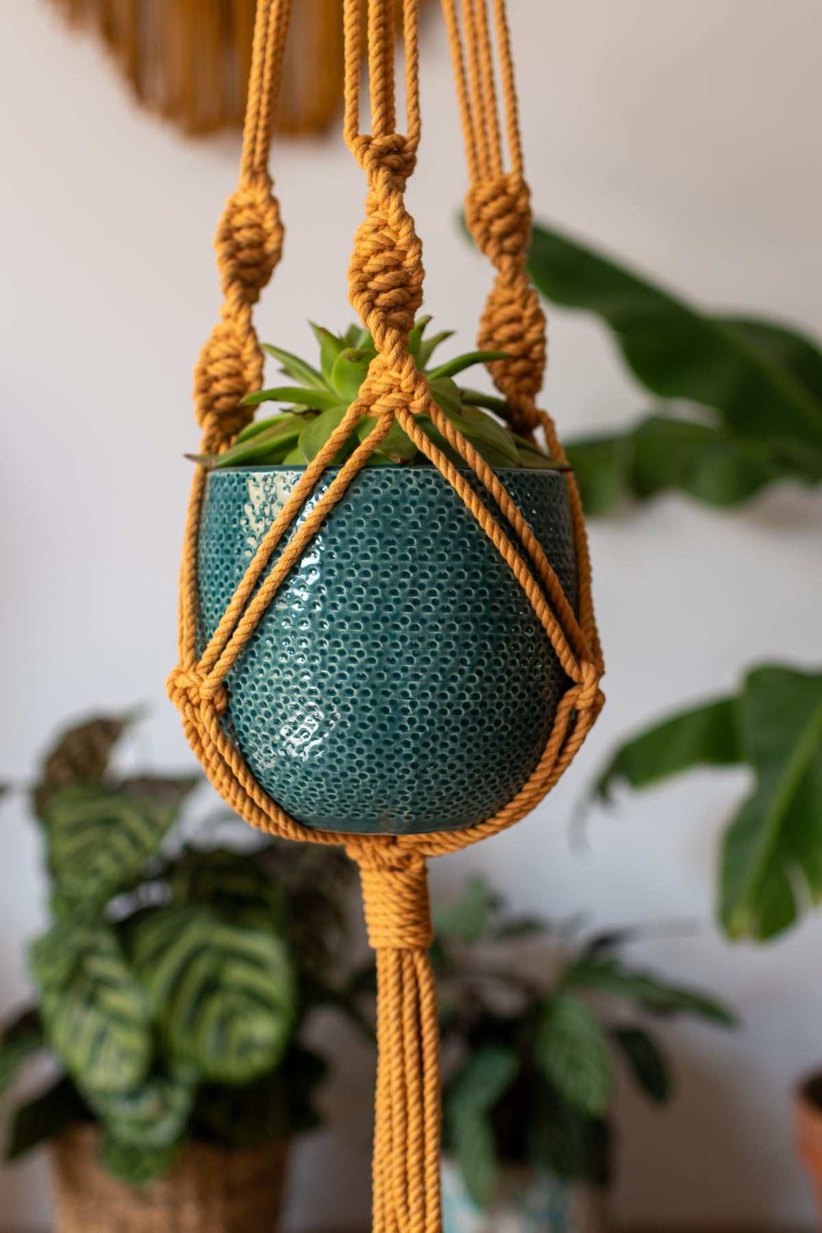 Knotted Macrame Plant Hanger - 40&quot; (100cm) in Length by