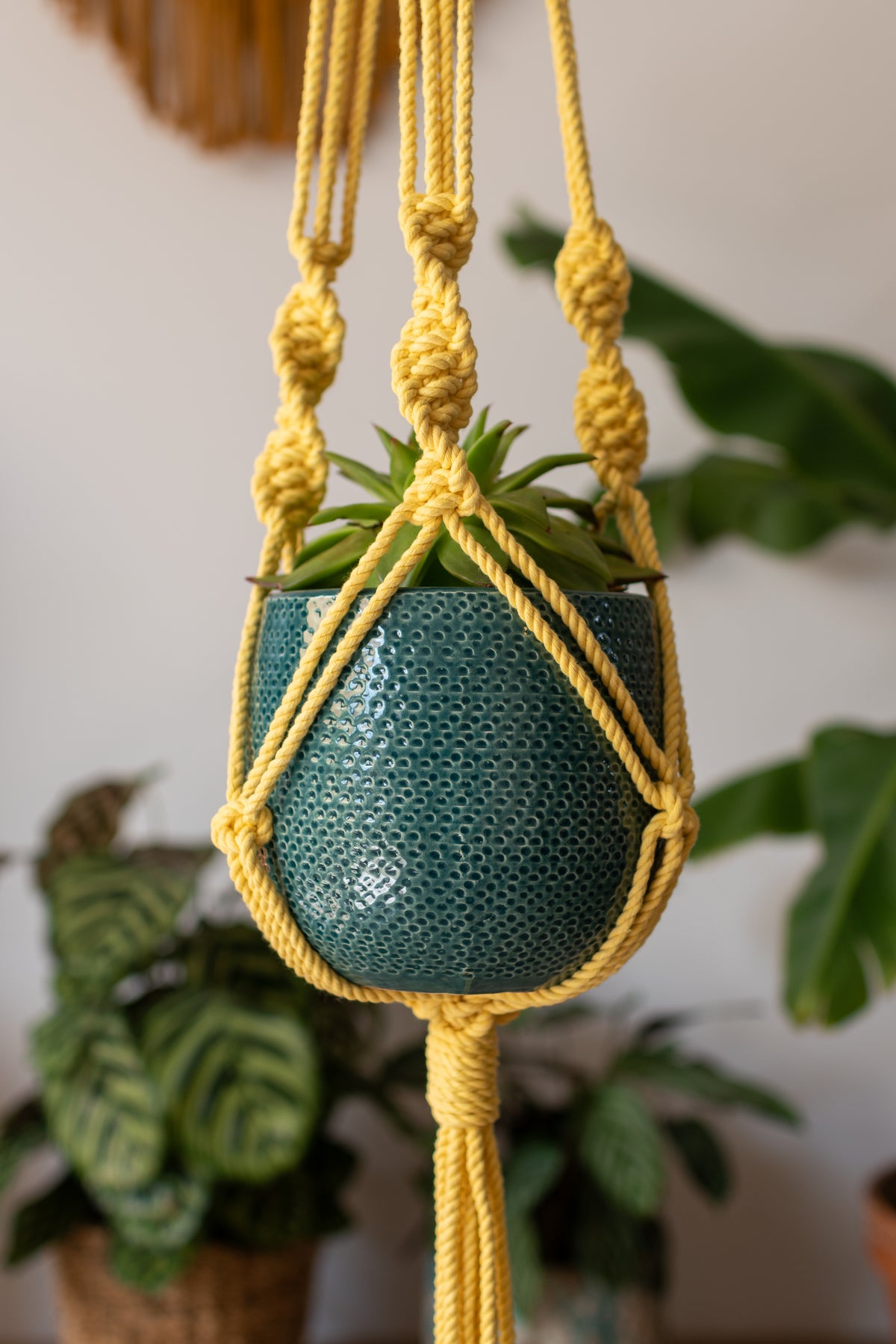 Knotted Macrame Plant Hanger - 40&quot; (100cm) in Length by