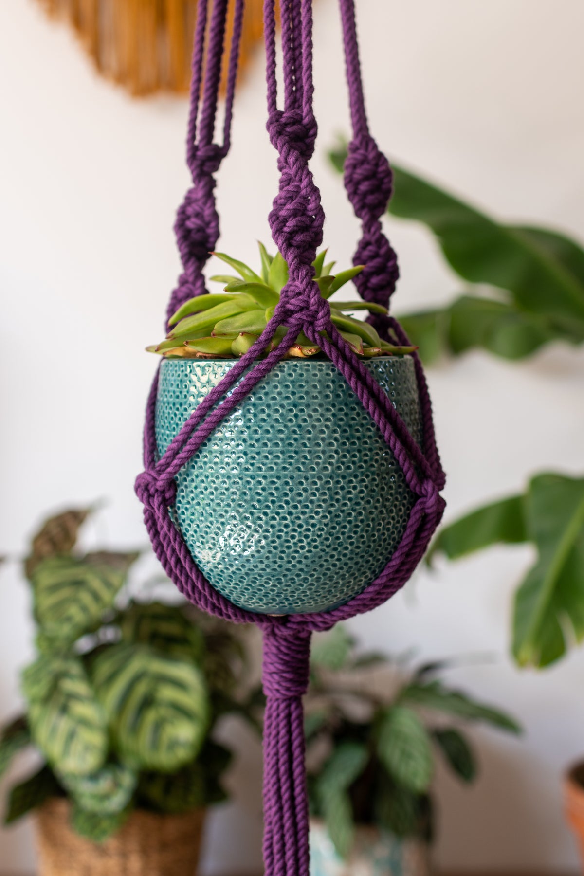 Knotted Macrame Plant Hanger - 40&quot; (100cm) in Length by