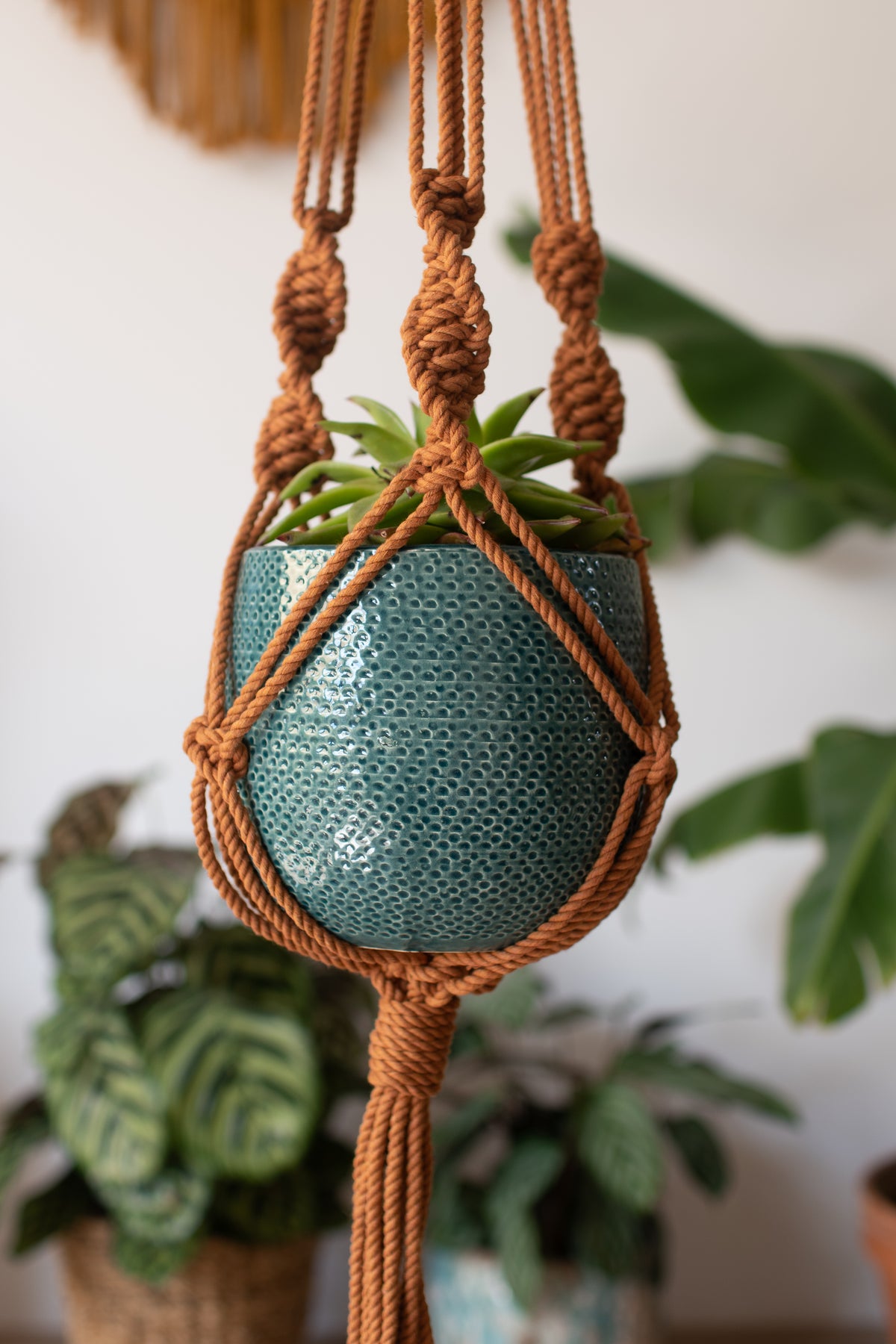 Knotted Macrame Plant Hanger - 40&quot; (100cm) in Length by