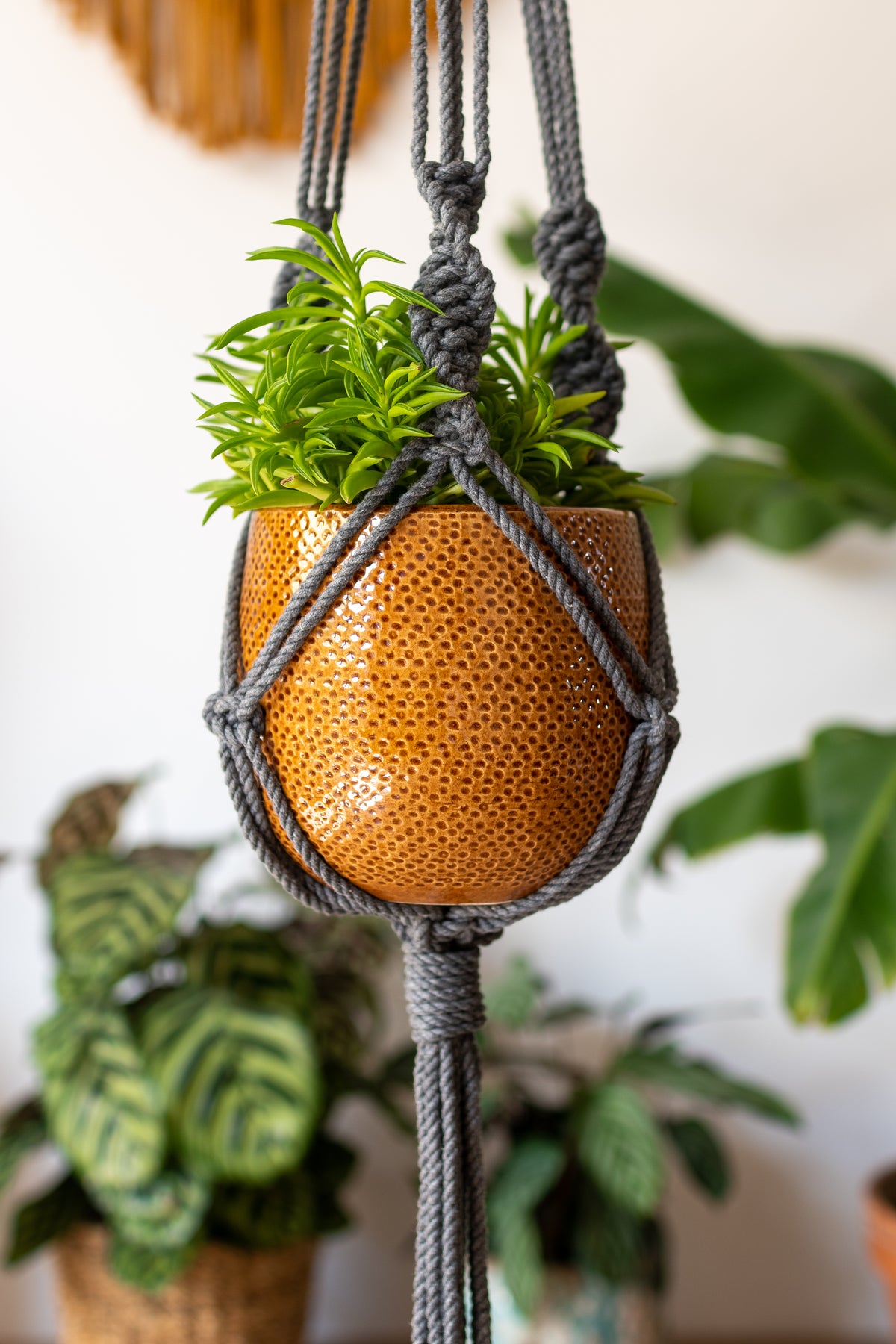 Knotted Macrame Plant Hanger - 40&quot; (100cm) in Length by