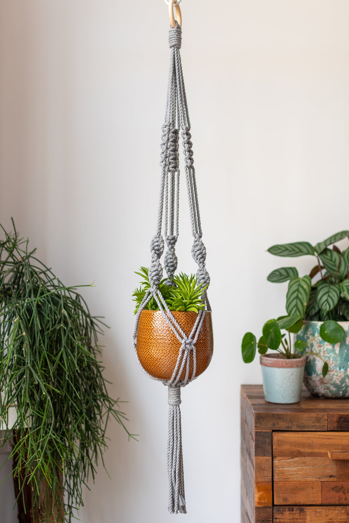 Knotted Macrame Plant Hanger - 40&quot; (100cm) in Length by