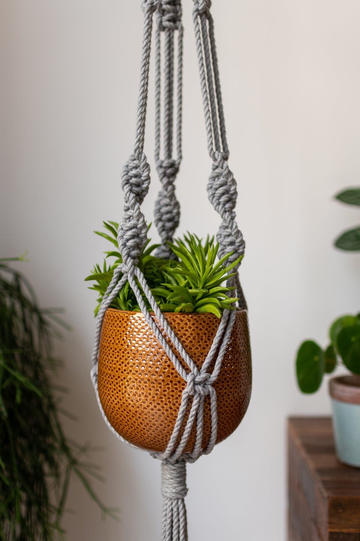 Knotted Macrame Plant Hanger - 40&quot; (100cm) in Length by