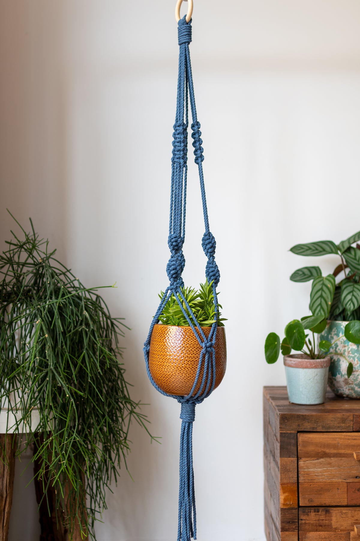 Knotted Macrame Plant Hanger - 40&quot; (100cm) in Length by