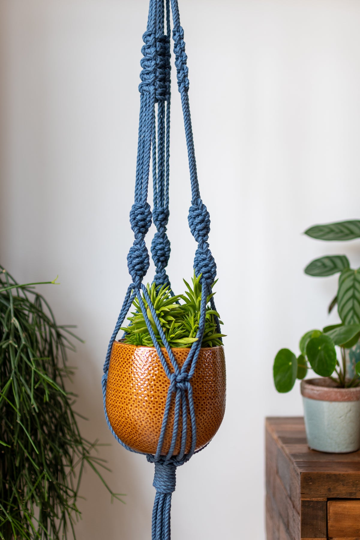 Knotted Macrame Plant Hanger - 40&quot; (100cm) in Length by