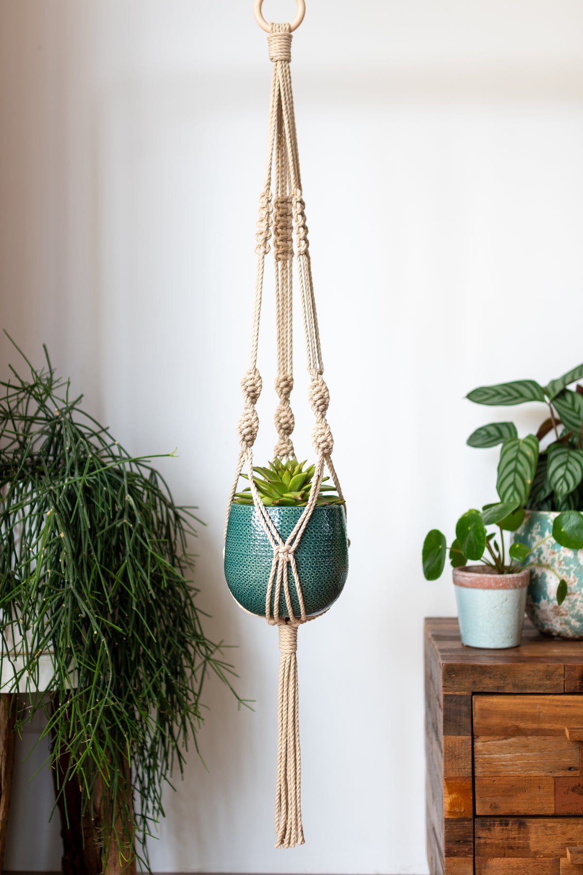 Knotted Macrame Plant Hanger - 40&quot; (100cm) in Length by