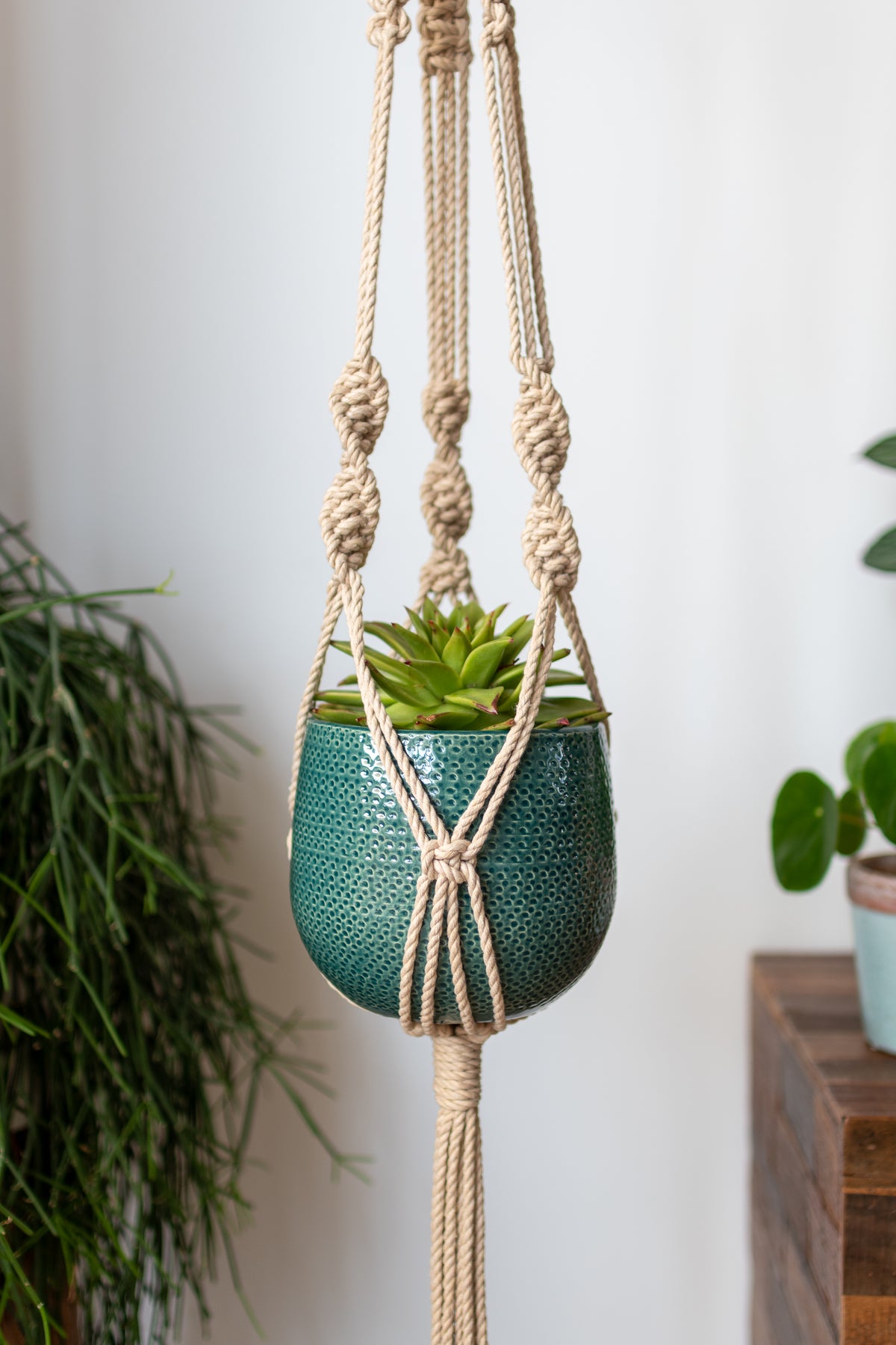 Knotted Macrame Plant Hanger - 40&quot; (100cm) in Length by