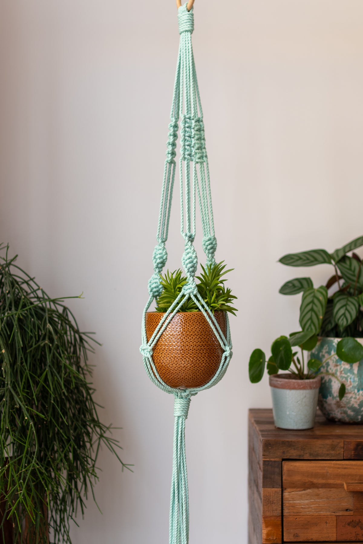 Knotted Macrame Plant Hanger - 40&quot; (100cm) in Length by