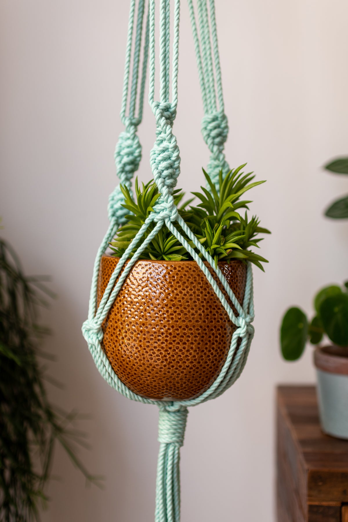 Knotted Macrame Plant Hanger - 40&quot; (100cm) in Length by