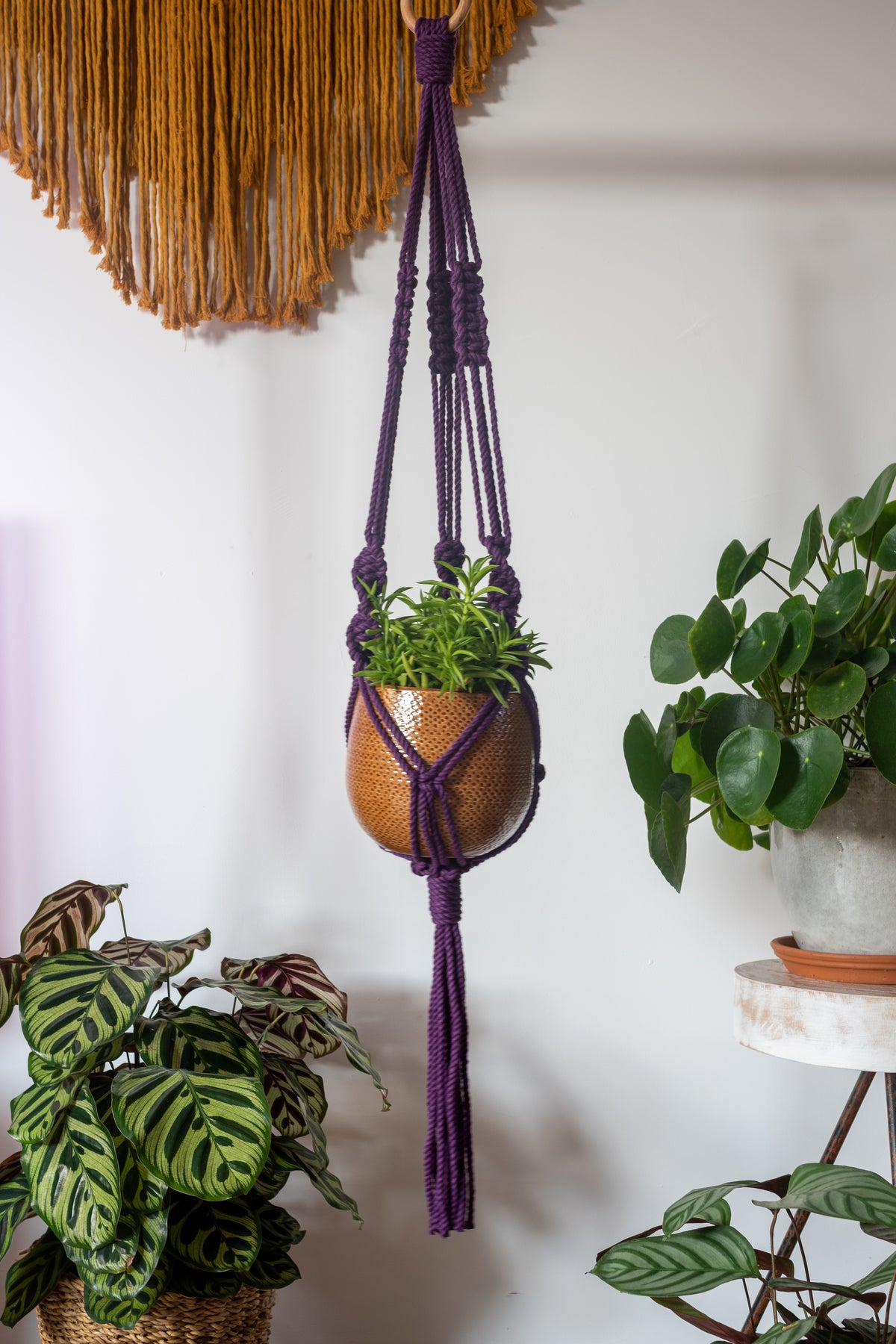 Knotted Macrame Plant Hanger - 40&quot; (100cm) in Length by