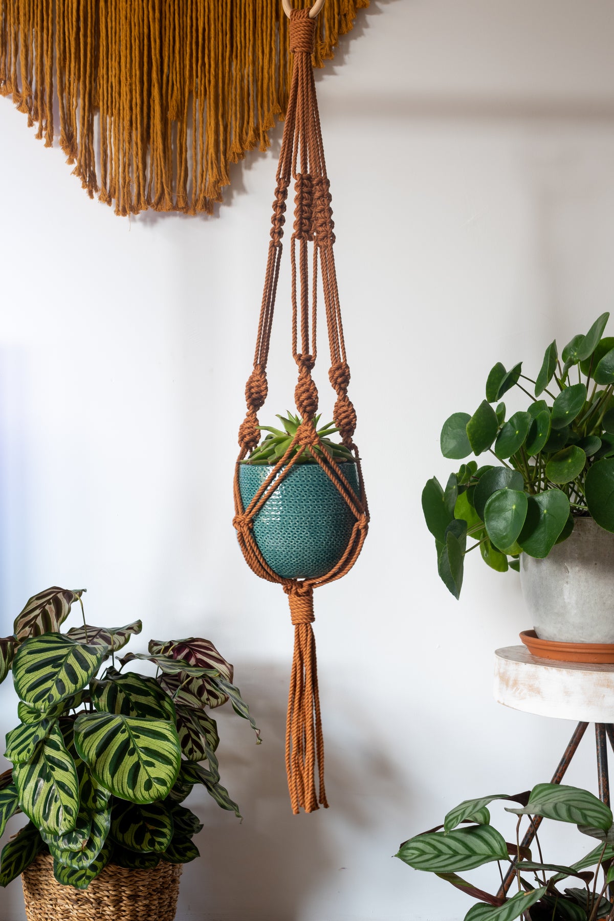 Knotted Macrame Plant Hanger - 40&quot; (100cm) in Length by