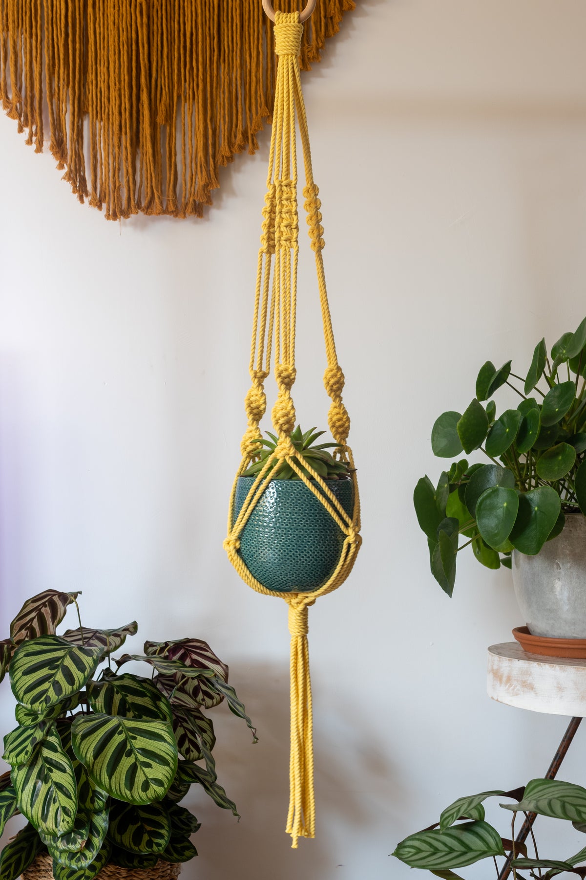 Knotted Macrame Plant Hanger - 40&quot; (100cm) in Length by