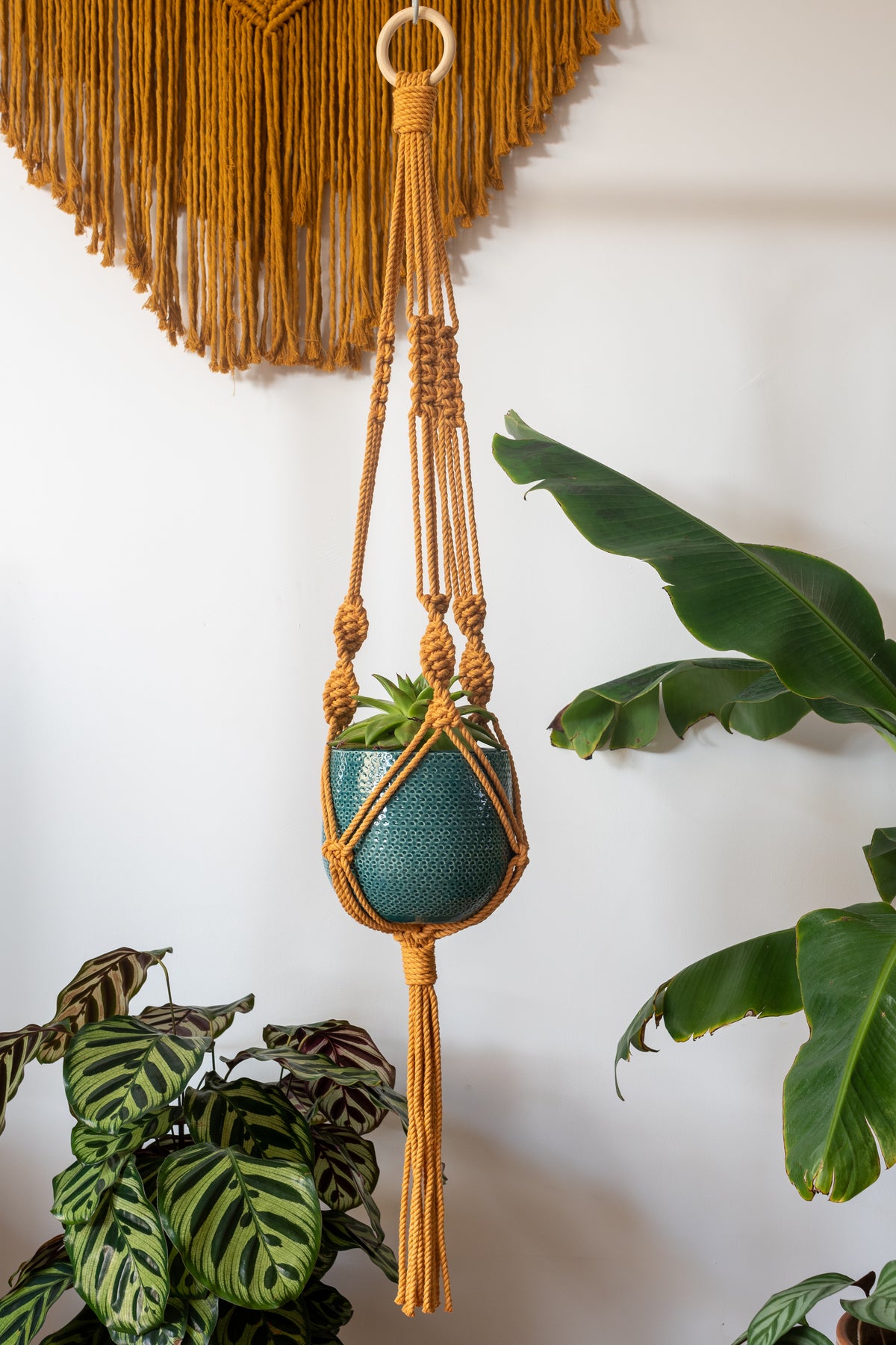 Knotted Macrame Plant Hanger - 40&quot; (100cm) in Length by