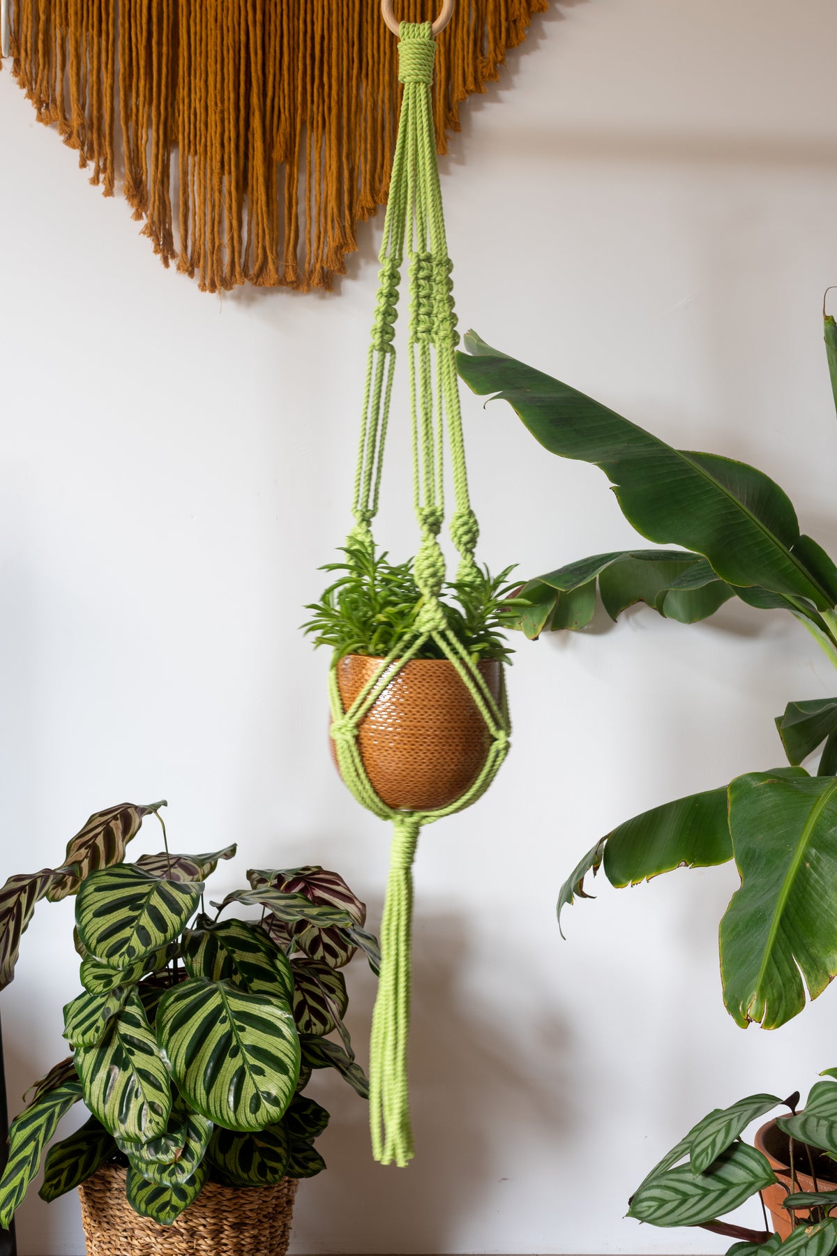 Knotted Macrame Plant Hanger - 40&quot; (100cm) in Length by