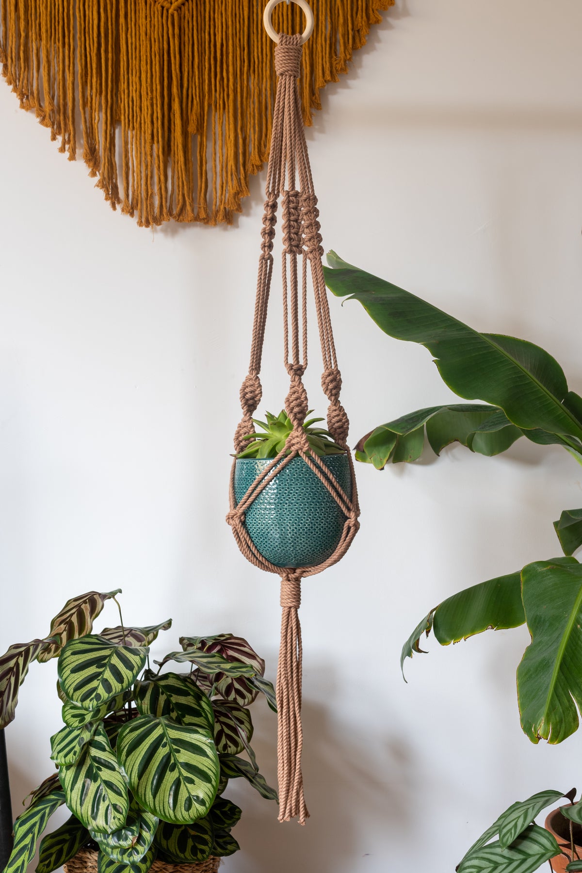 Knotted Macrame Plant Hanger - 40&quot; (100cm) in Length by