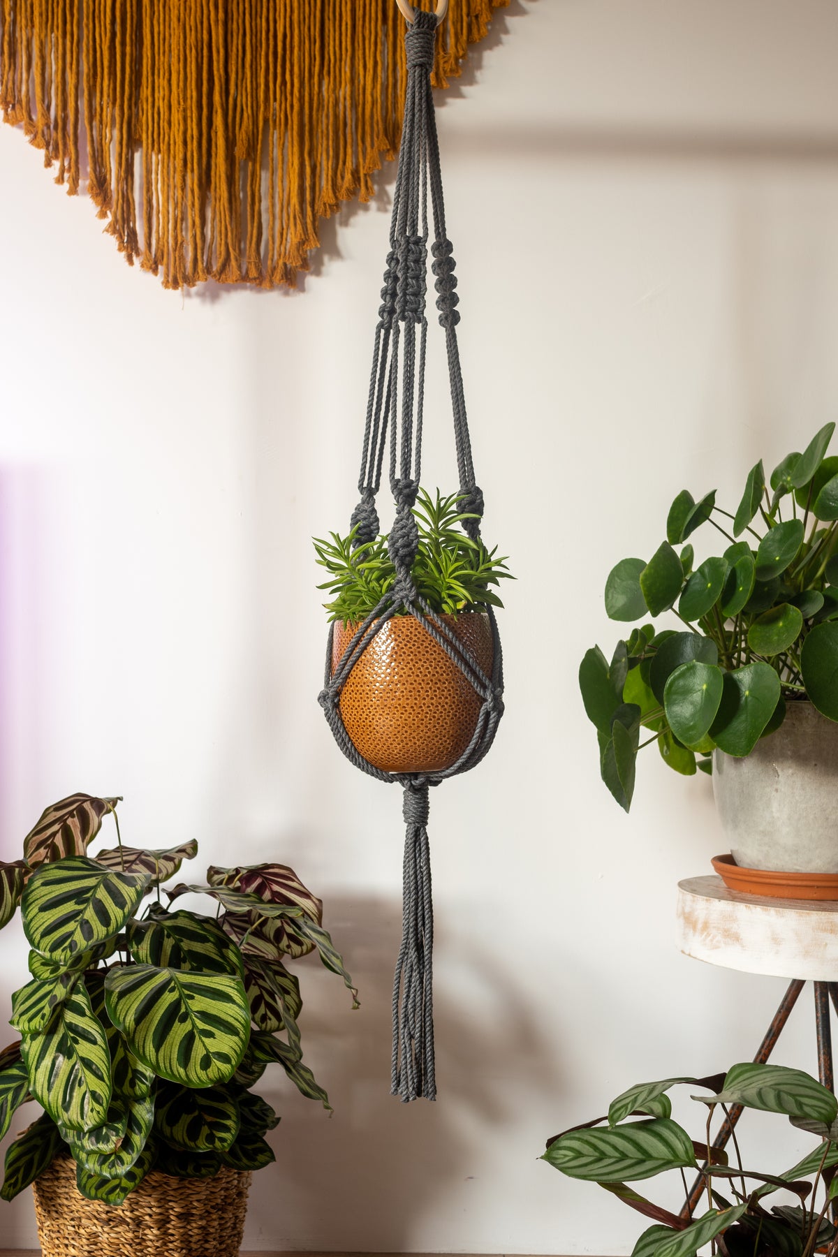 Knotted Macrame Plant Hanger - 40&quot; (100cm) in Length by