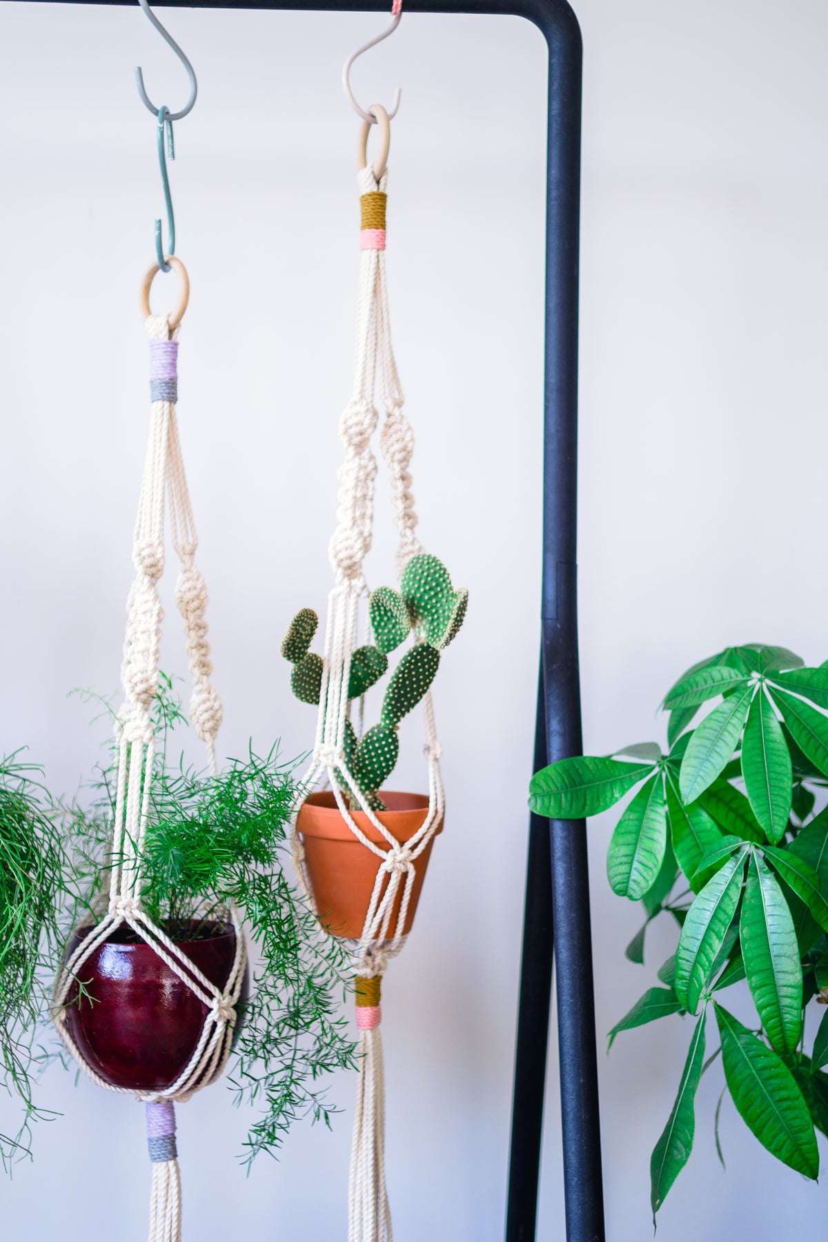 Knotted Macrame Plant Hanger - With color details - 40&quot; (100cm)