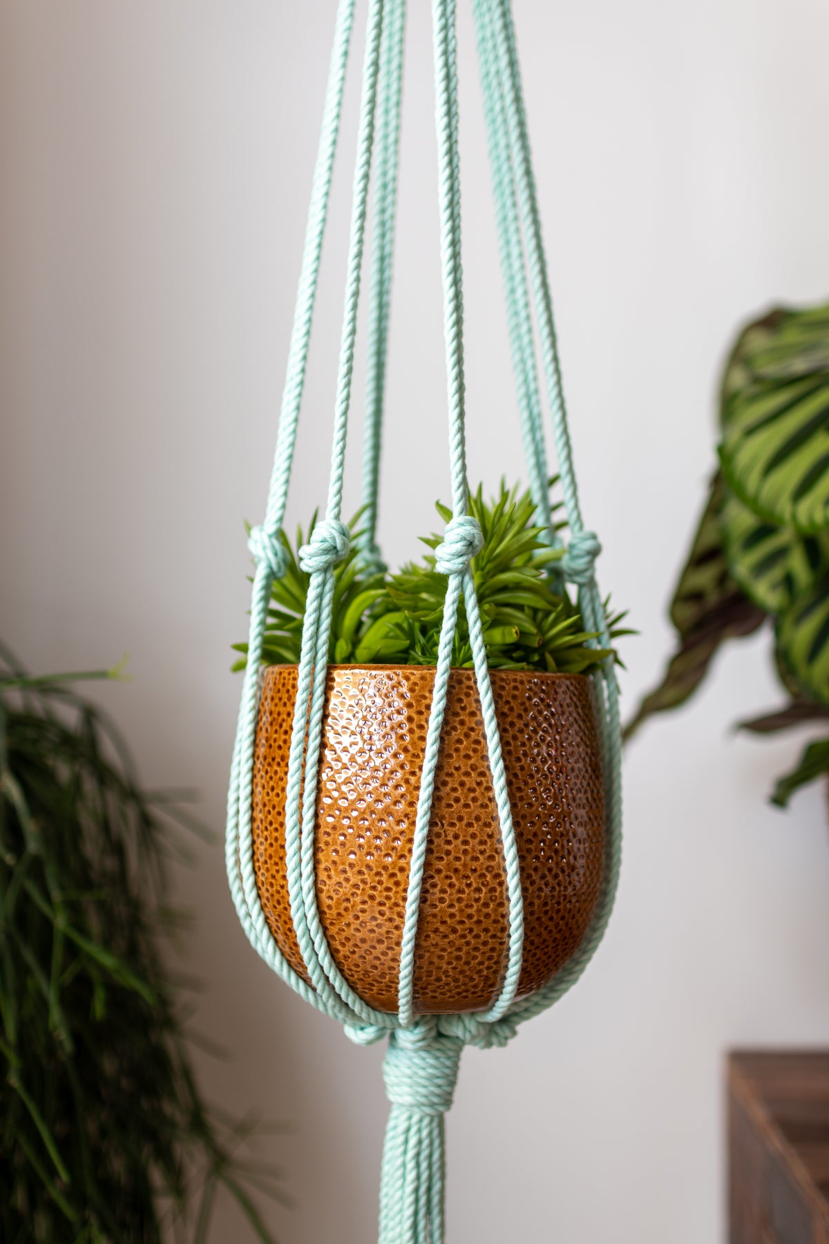 Minimalist Macrame Plant Hanger 40&quot; (100cm) long