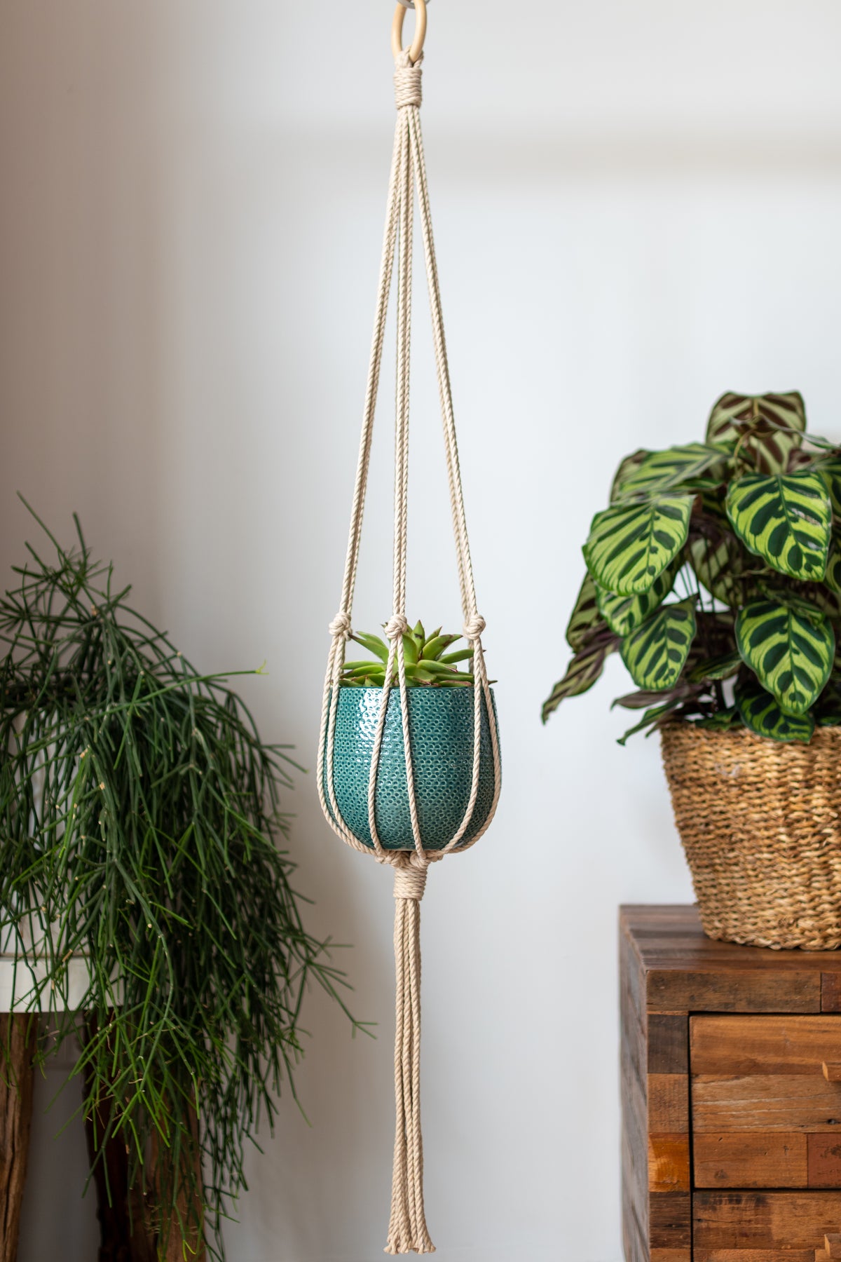 Minimalist Macrame Plant Hanger 40&quot; (100cm) long