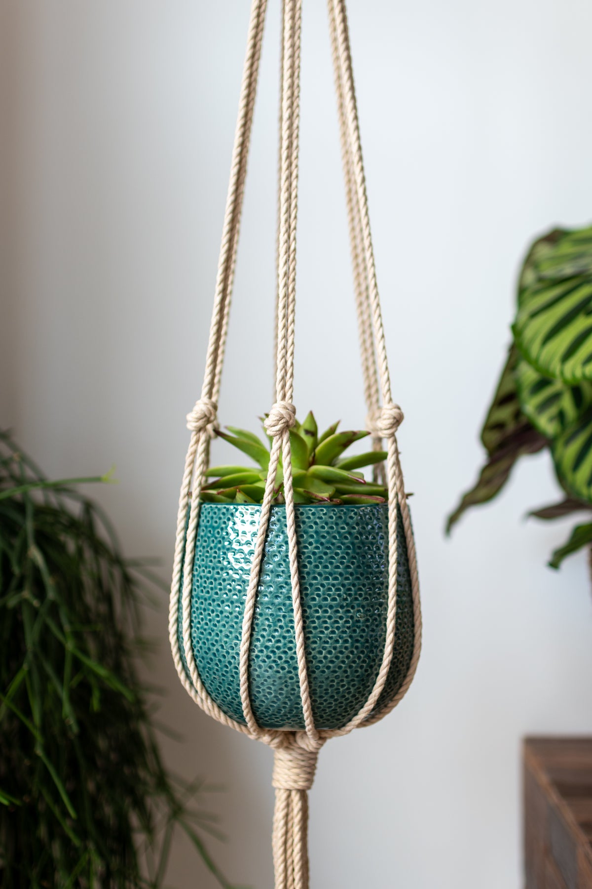 Minimalist Macrame Plant Hanger 40&quot; (100cm) long