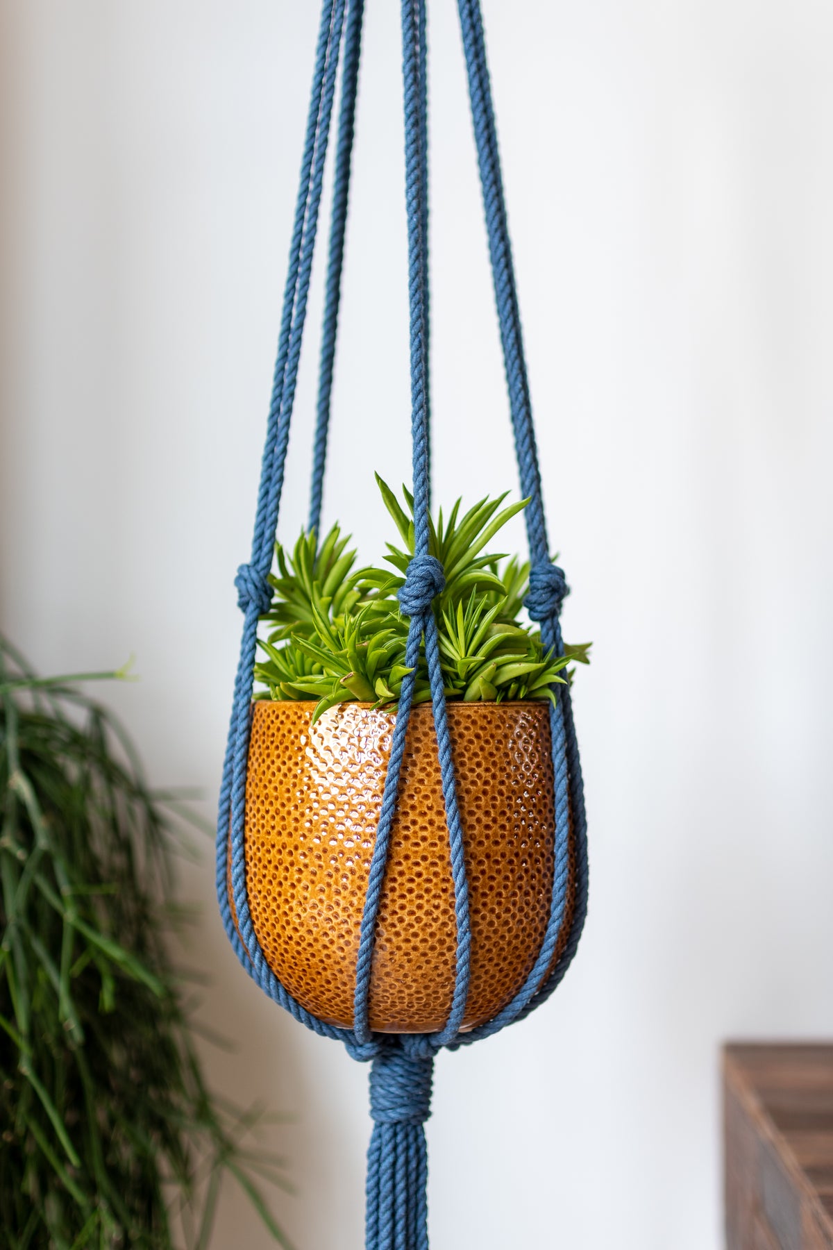 Minimalist Macrame Plant Hanger 40&quot; (100cm) long