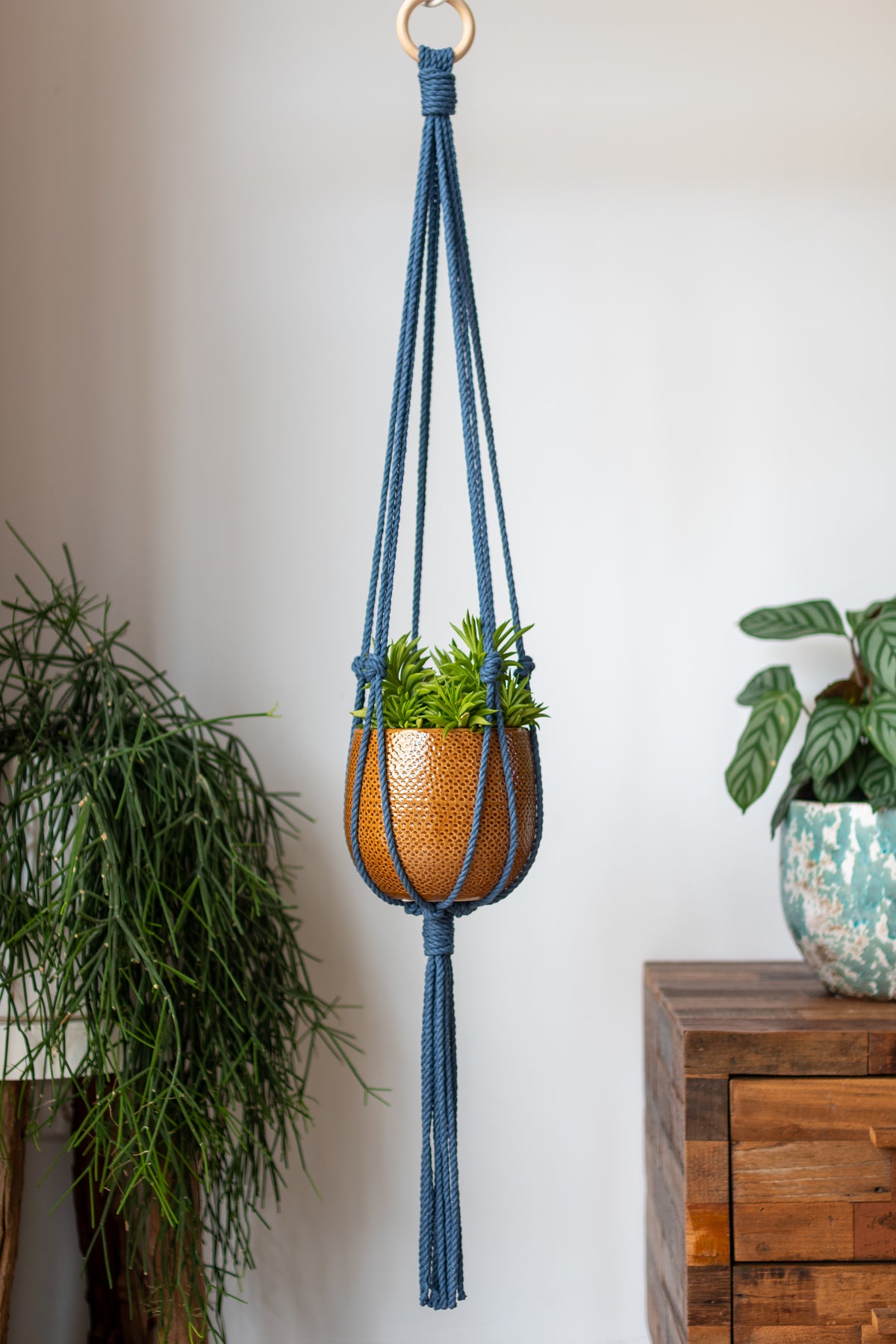 Minimalist Macrame Plant Hanger 40&quot; (100cm) long