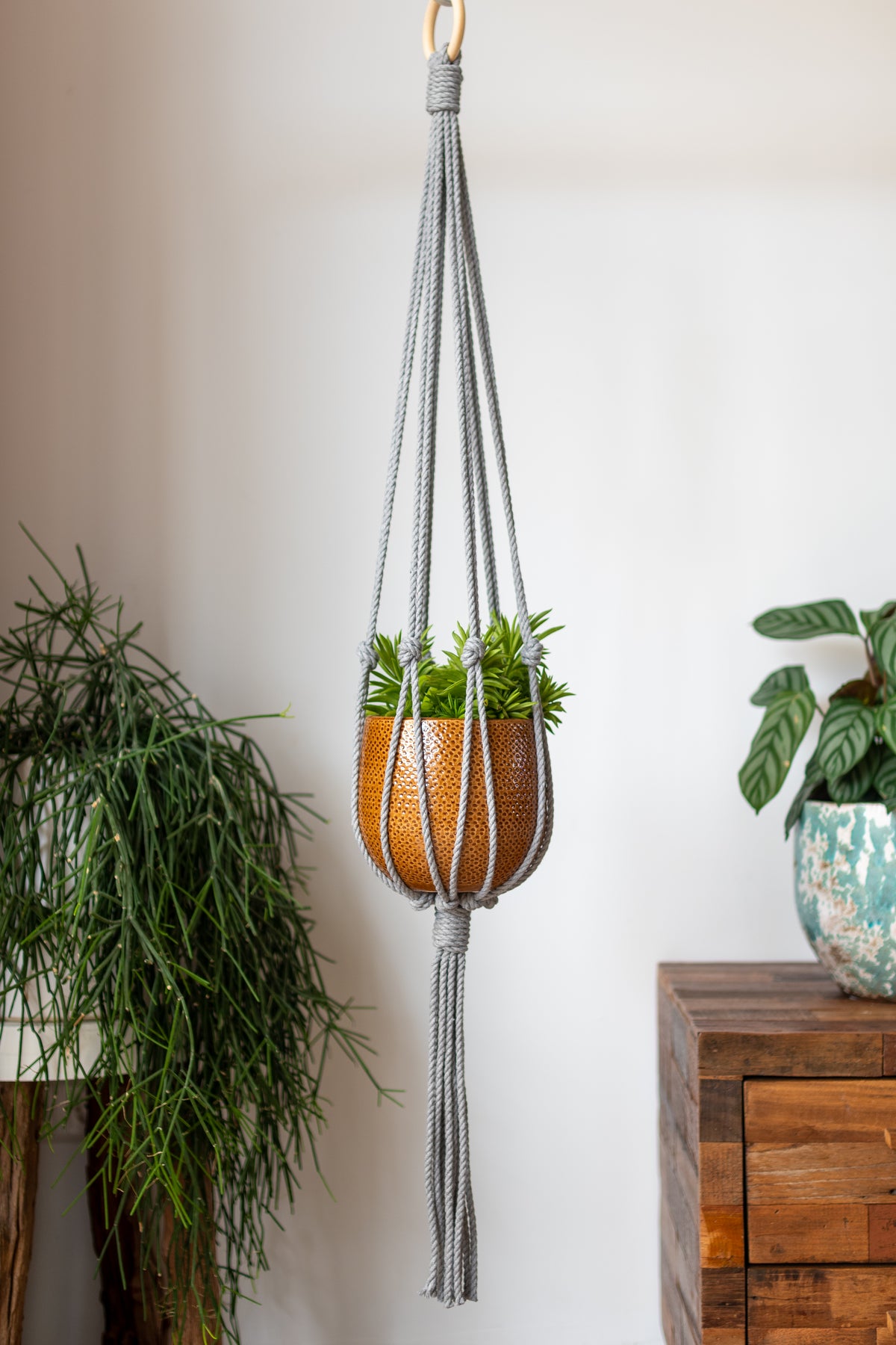 Minimalist Macrame Plant Hanger 40&quot; (100cm) long