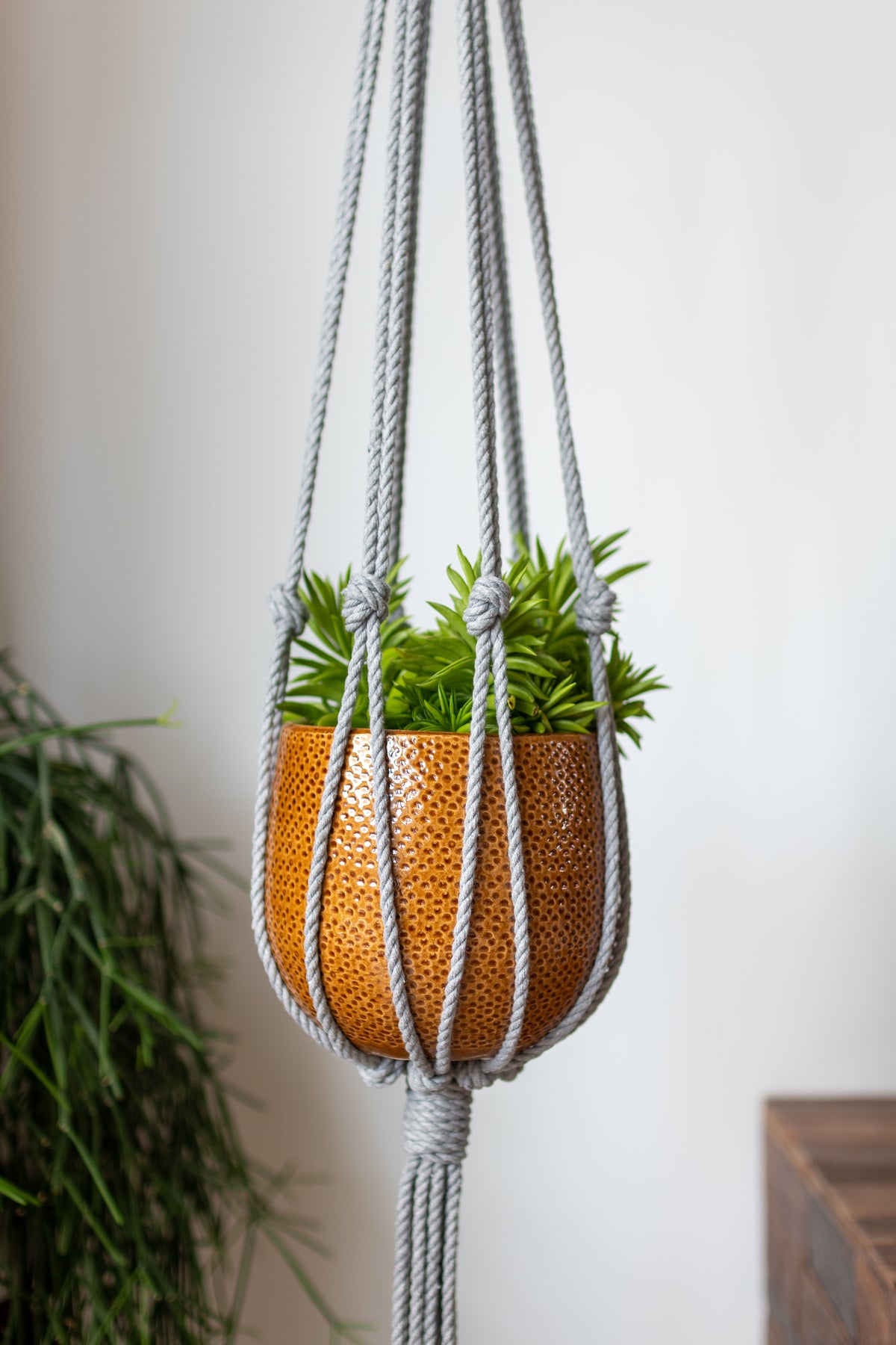 Minimalist Macrame Plant Hanger 40&quot; (100cm) long