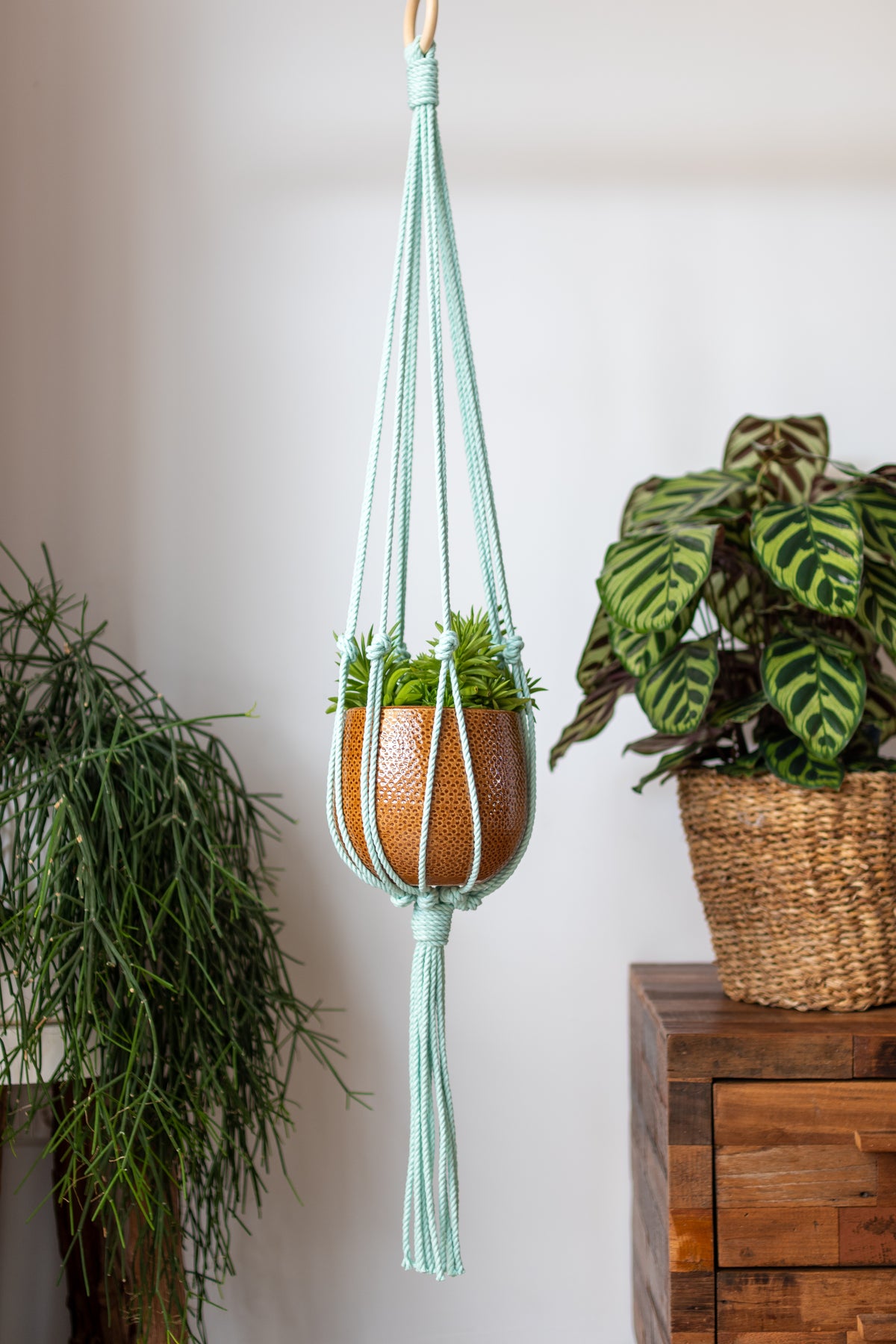 Minimalist Macrame Plant Hanger 40&quot; (100cm) long