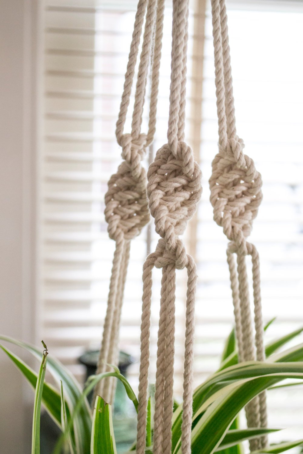 Macrame Plant Hanger