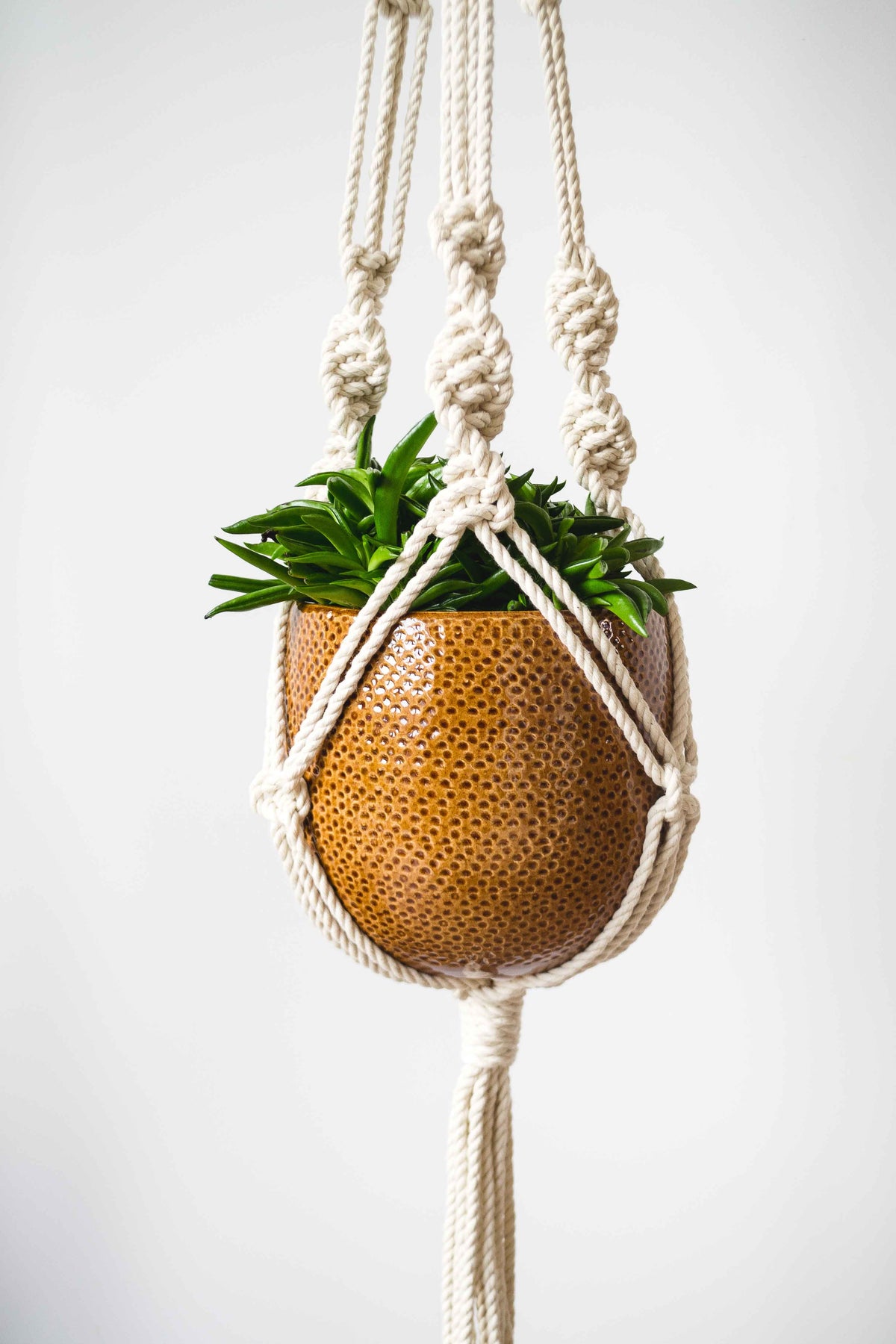 Knotted Macrame Plant Hanger - 40&quot; (100cm) in Length by