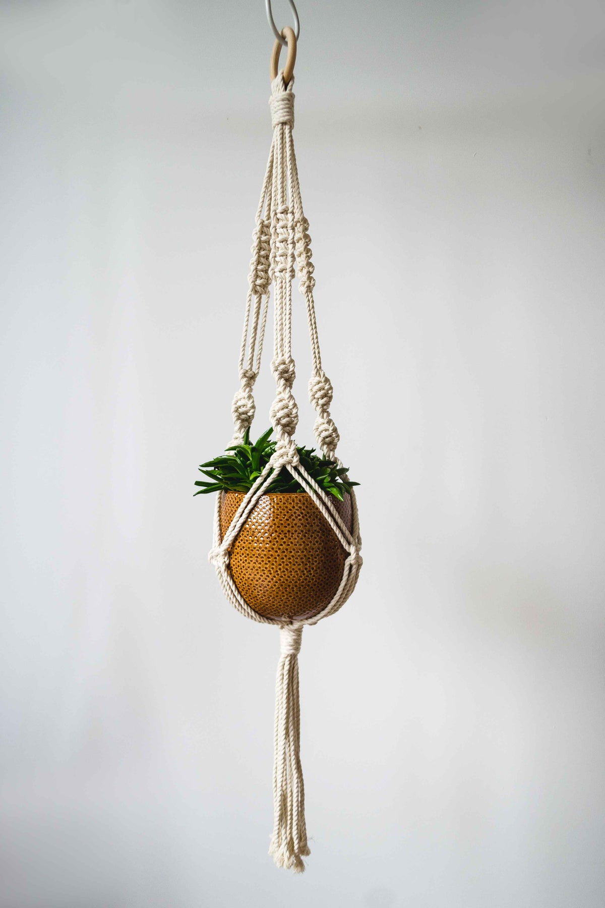 Knotted Macrame Plant Hanger - 40&quot; (100cm) in Length by