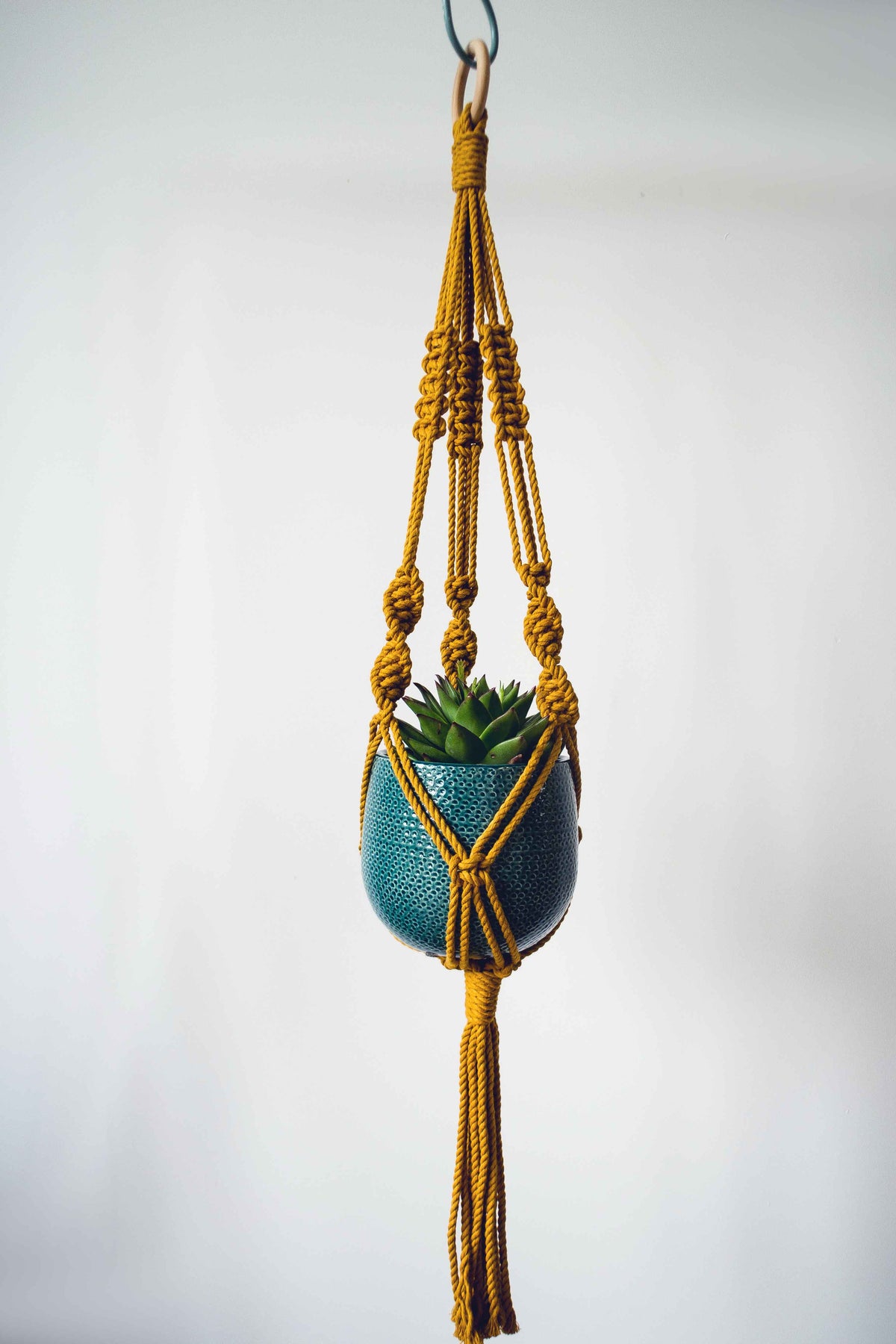 Knotted Macrame Plant Hanger - 40&quot; (100cm) in Length by