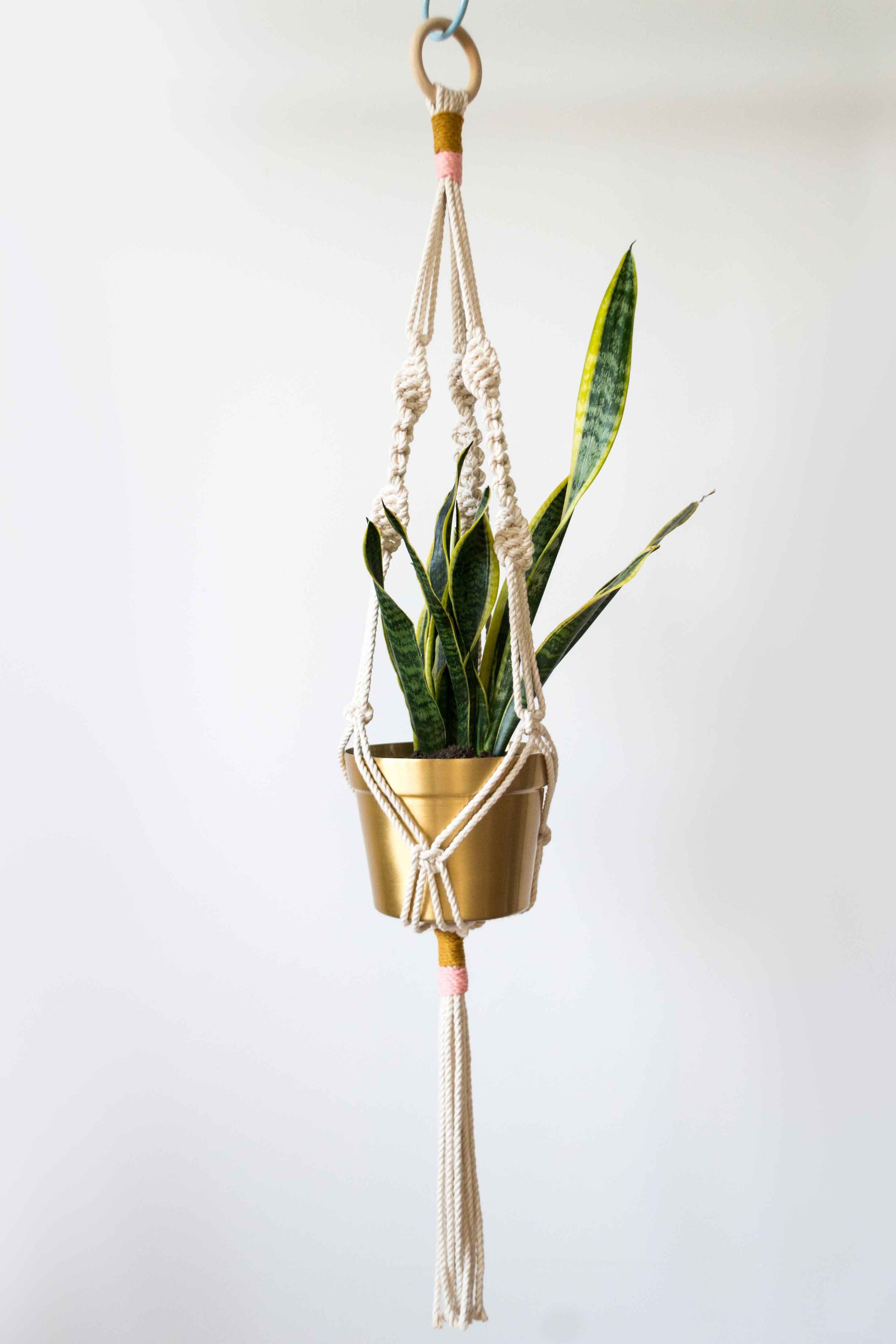 Colorful Macrame Plant Hanger