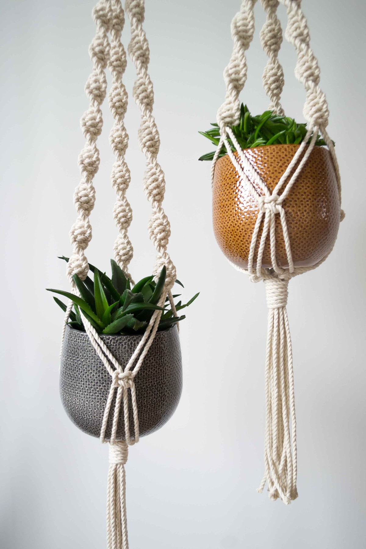 Spiral Plant Hanger