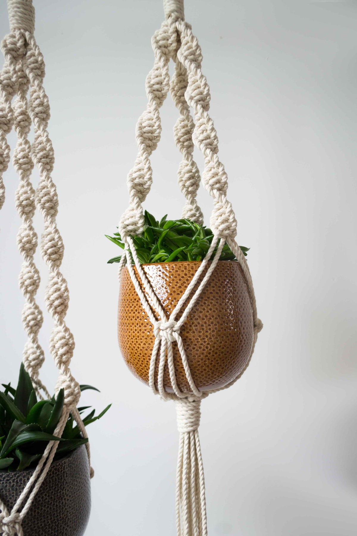 Spiral Plant Hanger