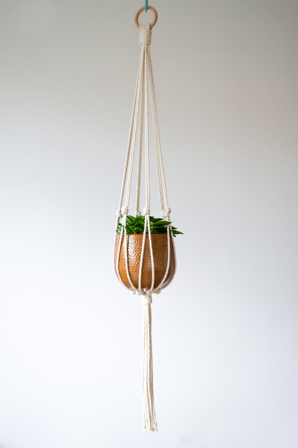 Minimalist Macrame Plant Hanger 40&quot; (100cm) long