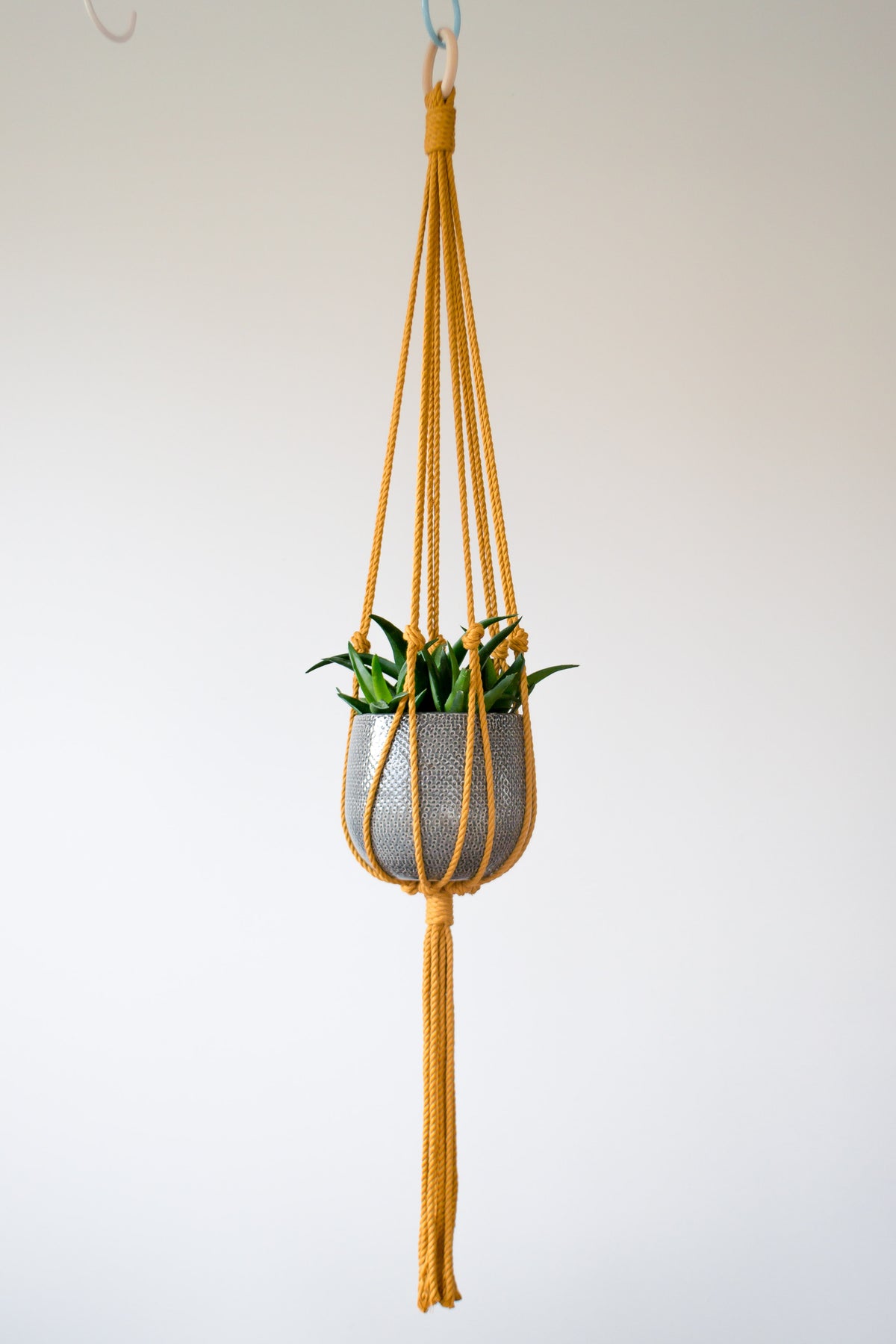 Minimalist Macrame Plant Hanger 40&quot; (100cm) long