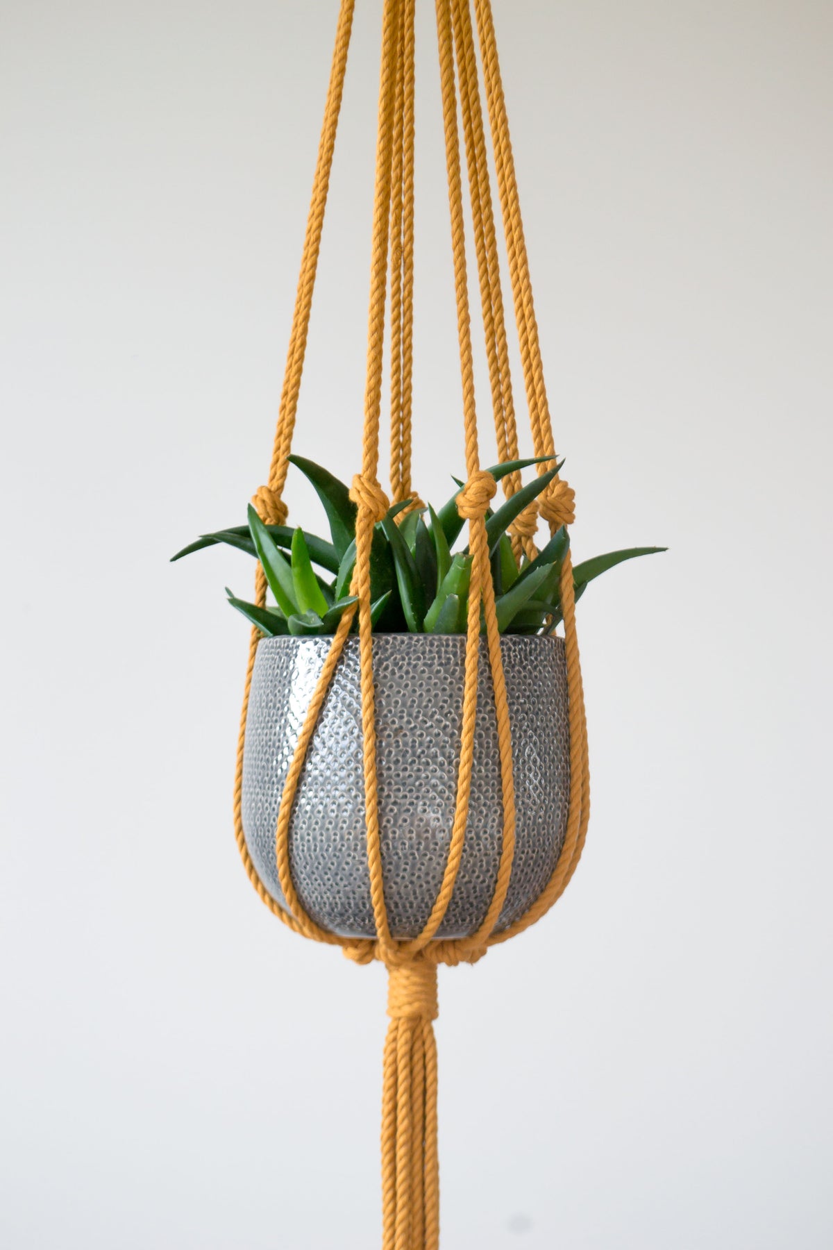 Minimalist Macrame Plant Hanger 40&quot; (100cm) long