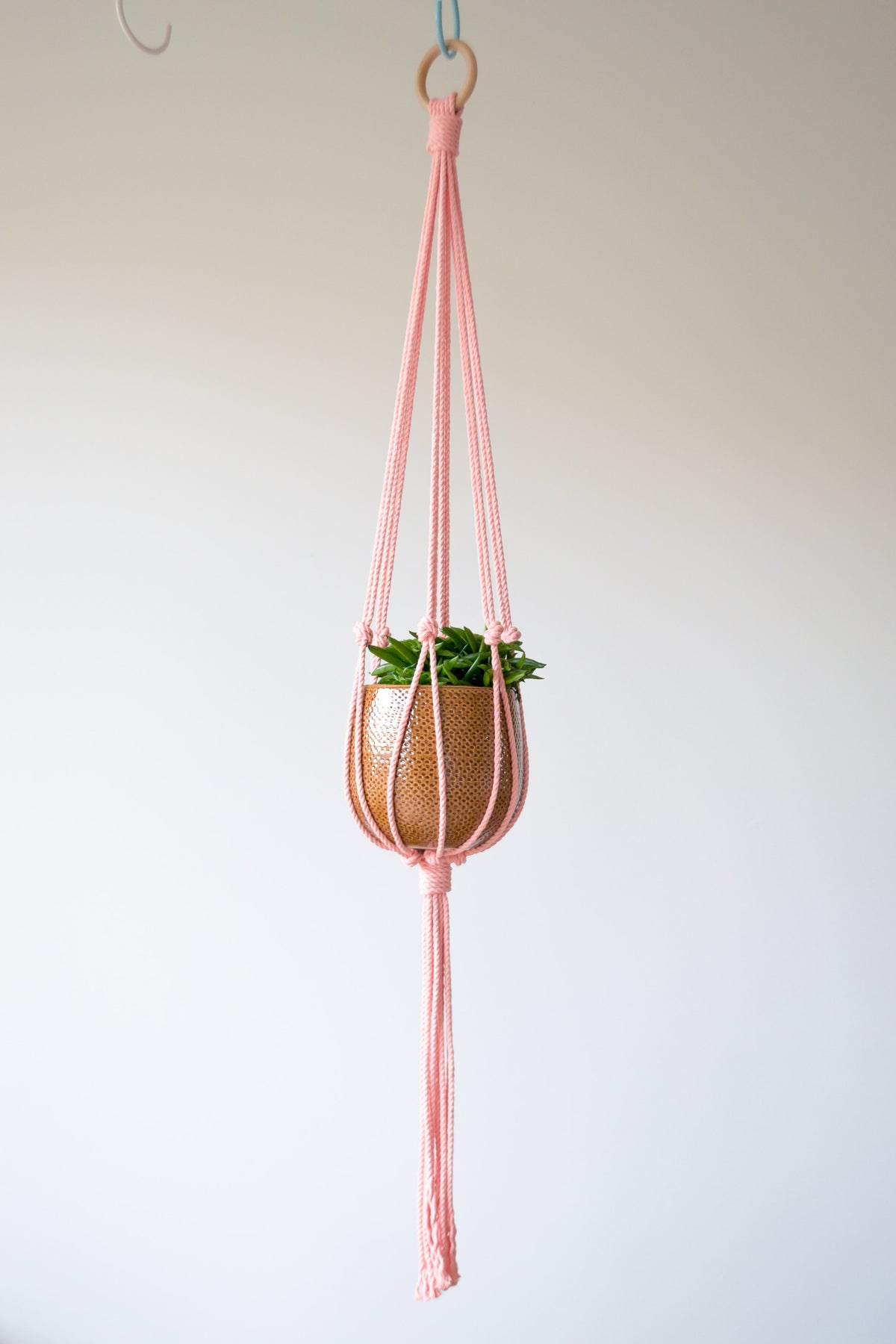 Minimalist Macrame Plant Hanger 40&quot; (100cm) long