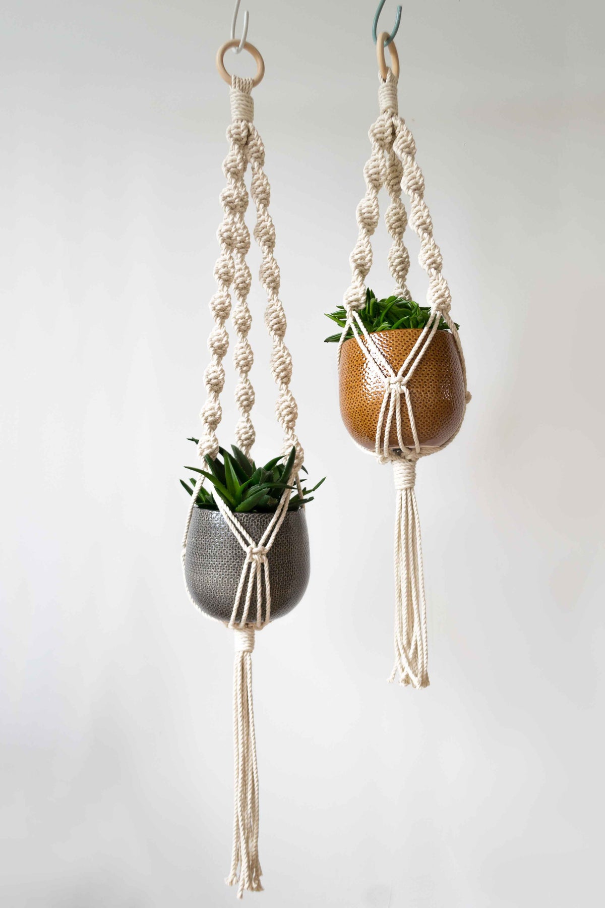 Spiral Plant Hanger