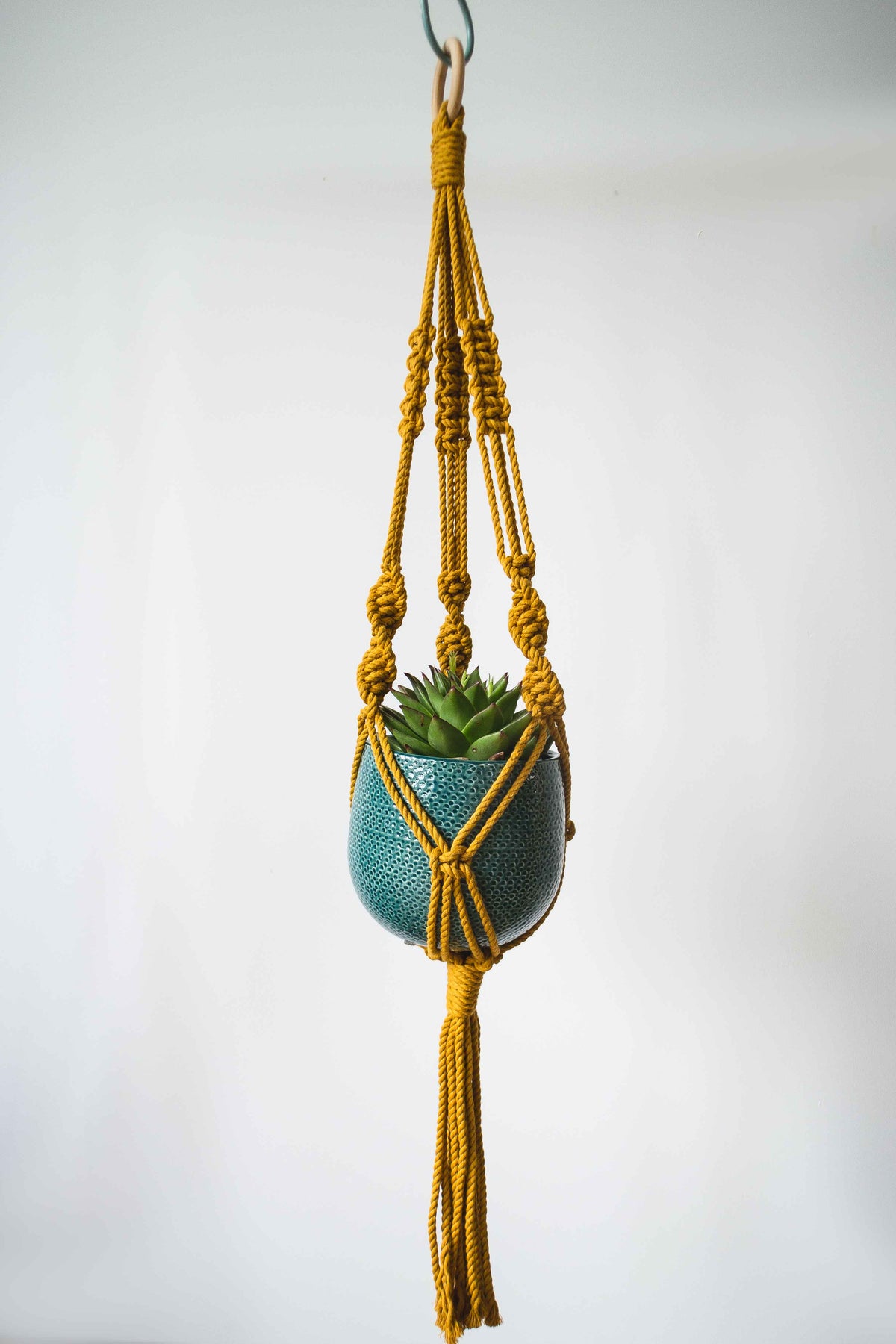 Knotted Macrame Plant Hanger - 40&quot; (100cm) in Length by