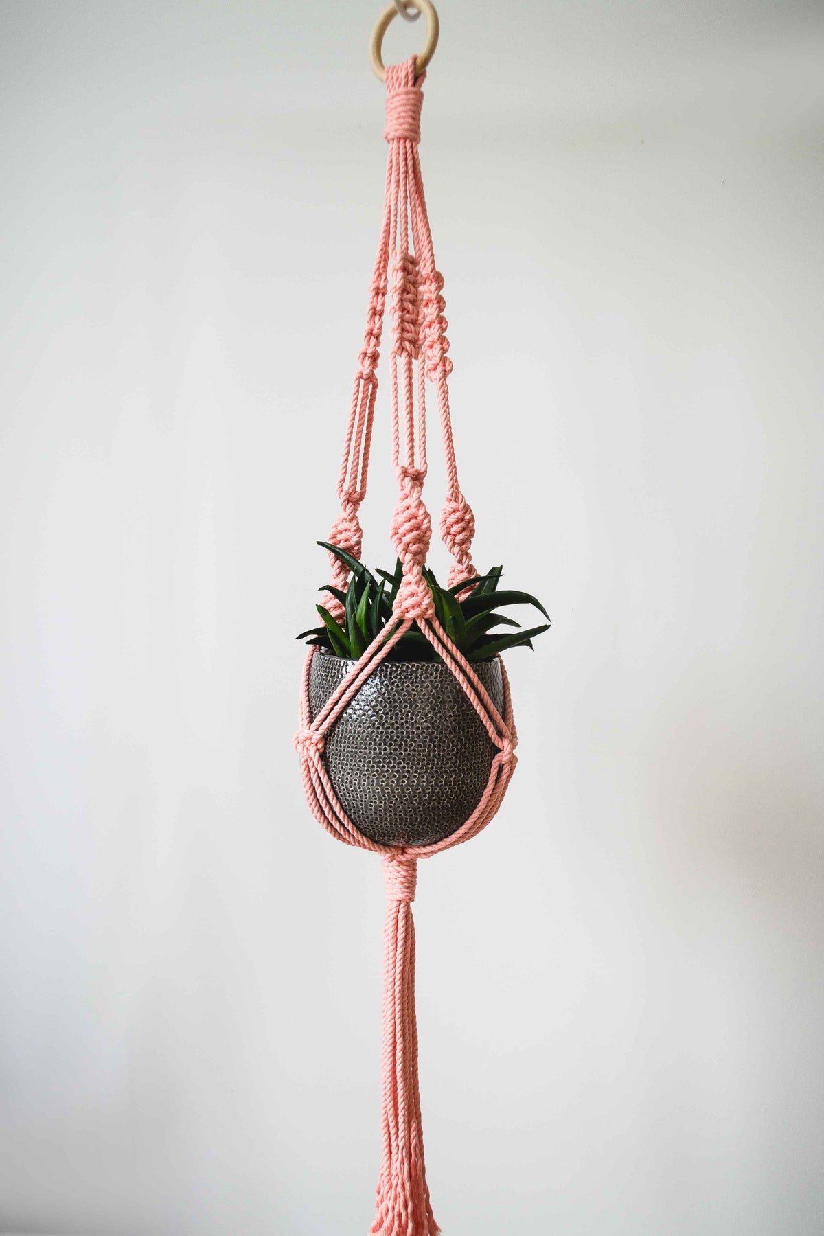 Knotted Macrame Plant Hanger - 40&quot; (100cm) in Length by